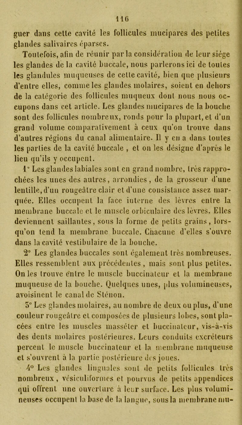 guer dans cette cavité les follicules mucipares des petites glandes salivaires éparses. Toutefois, afin de réunir par la considération de leur siège les glandes de la cavité buccale, nous parlerons ici de louies les glandules muqueuses de celte cavité, bien que plusieurs d’entre elles, comme les glandes molaires, soient en dehors de la catégorie des follicules muqueux dont nous nous oc- cupons dans cet article. Les glandes mucipares de la bouche sont des follicules nombreux, ronds pour la plupart, et d’un grand volume comparativement à ceux qu’on trouve dans d’autres régions du canal alimentaire. Il y en a dans toutes les parties de la cavité buccale , et on les désigne d’après le lieu qu’ils y occupent. 1 Les glandes labiales sont en grand nombre, très rappro- chées les unes<les autres, arrondies, de la grosseur d'une lentille,d’un rougeâtre clair et d’une consistance assez mar- quée. Elles occupent la face interne des lèvres entre la membrane buccale cl le muscle orbiculaire des lèvres. Elles deviennent saillantes, sous la forme de petits grains, lors- qu’on tend la membrane buccale. Chacune d’elles s’ouvre dans la cavité vestibulaire de la bouche. 2° Les glandes buccales sont également très nombreuses. Elles ressemblent aux précédentes , mais sont plus petites. On les trouve entre le muscle buccinateur et la membrane muqueuse de la bouche. Quelques unes, plus volumineuses, avoisinent le canal de Sténon. 5° Les glandes molaires, au nombre de deux ou plus, d’une couleur rougeâtre et composées de plusieurs lobes, sont pla- cées entre les muscles masséler et buccinateur, vis-à-vis des dents molaires postérieures. Leurs conduits excréteurs percent le muscle buccinateur et la membrane muqueuse et s’ouvrent à la partie postérieure des joues. \° Les glandes linguales sont de petits follicules très nombreux, vésiculiformes et pourvus de petits appendices qui offrent une ouverture à leur surface. Les plus volumi- neuses occupent la base de la langue, sous la membrane mu-