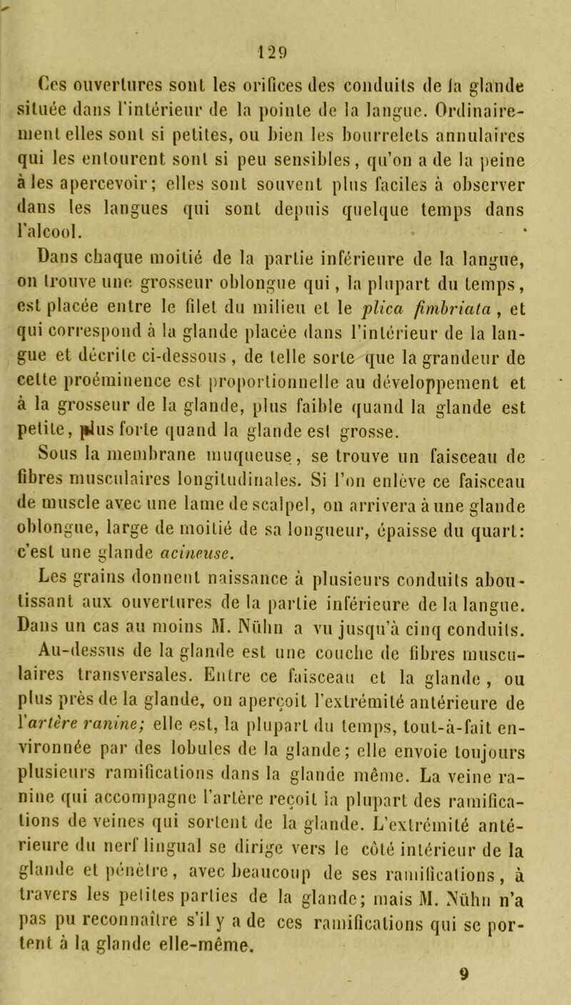 Ces ouvertures sont les orifices des conduits de la glande située dans l’intérieur de la pointe de la langue. Ordinaire- ment elles sont si petites, ou bien les bourrelets annulaires qui les entourent sont si peu sensibles, qu’on a de la peine aies apercevoir; elles sont souvent plus faciles à observer dans les langues qui sont depuis quelque temps dans l’alcool. Dans chaque moitié de la partie inférieure de la langue, on trouve une grosseur oblongue qui, la plupart du temps, est placée entre le filet du milieu et le plicci fimbriata , et qui correspond à la glande placée dans l’intérieur de la lan- gue et décrite ci-dessous , de telle sorte que la grandeur de celte proéminence est proportionnelle au développement et à la grosseur de la glande, plus faible quand la glande est petite, plus forte quand la glande est grosse. Sous la membrane muqueuse, se trouve un faisceau de fibres musculaires longitudinales. Si l’on enlève ce faisceau de muscle avec une lame de scalpel, on arrivera à une glande oblongue, large de moitié de sa longueur, épaisse du quart: c’est une glande acineuse. Les grains donnent naissance à plusieurs conduits abou- tissant aux ouvertures de la partie inférieure de la langue. Dans un cas au moins M. Nühn a vu jusqu’à cinq conduits. Au-dessus de la glande est une couche de fibres muscu- laires transversales. Entre ce faisceau et la glande , ou plus près de la glande, on aperçoit l’extrémité antérieure de Y artère ranine; elle est, la plupart du temps, tout-à-fait en- vironnée par des lobules de la glande; elle envoie toujours plusieurs ramifications dans la glande même. La veine ra- nine qui accompagne l’artère reçoit la plupart des ramifica- tions de veines qui sortent de la glande. L’extrémité anté- rieure du nerf lingual se dirige vers le côté intérieur de la glande et pénètre, avec beaucoup de ses ramifications, à travers les petites parties de la glande; mais M. Nühn n’a pas pu reconnaître s il y a de ces ramifications qui se por- tent à la glande elle-même. 9