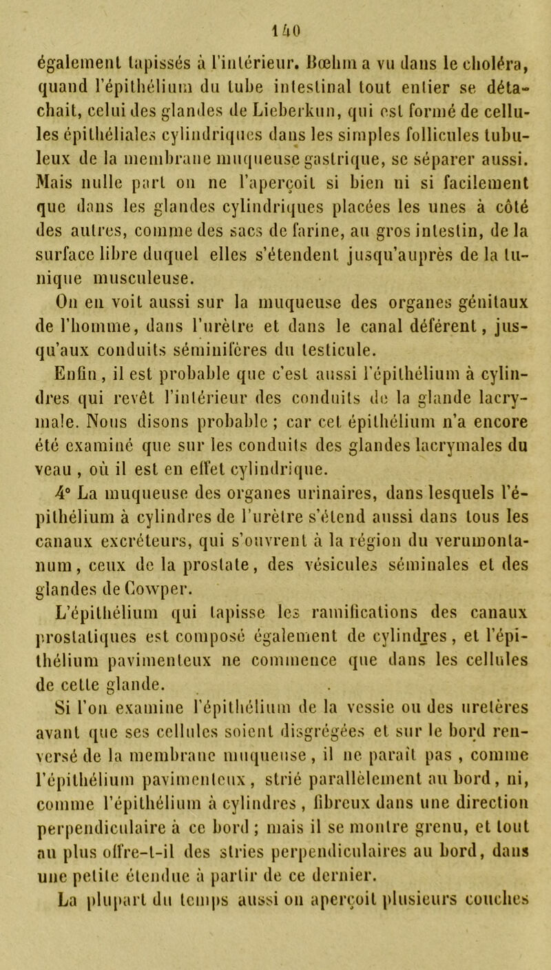 également tapissés à l'intérieur. Bœliin a vu dans le choléra, quand l'épithélium du tube intestinal tout entier se déta- chait, celui des glandes de Lieberkun, qui est formé de cellu- les épithéliales cylindriques dans les simples follicules tubu- leux de la membrane muqueuse gastrique, se séparer aussi. Mais nulle part on ne l’aperçoit si bien ni si facilement que dans les glandes cylindriques placées les unes à côté des autres, comme des sacs de farine, au gros intestin, de la surface libre duquel elles s’étendent jusqu’auprès de la tu- nique musculeuse. On en voit aussi sur la muqueuse des organes génitaux de l’homme, dans l’urètre et dans le canal déférent, jus- qu’aux conduits séminilcres du testicule. Enfin , il est probable que c’est aussi l’épithélium à cylin- di •es qui revêt l’intérieur des conduits de la glande lacry- male. Nous disons probable ; car cet épithélium n’a encore été examiné que sur les conduits des glandes lacrymales du veau , où il est en effet cylindrique. 4° La muqueuse des organes urinaires, dans lesquels l’é- pithélium à cylindres de l’urètre s’étend aussi dans tous les canaux excréteurs, qui s’ouvrent à la légion du verumonla- num, ceux de la prostate, des vésicules séminales et des glandes de Cowper. L’épithélium qui tapisse les ramifications des canaux prostatiques est composé également de cylindres, et l’épi- thélium pavimenteux ne commence que dans les cellules de cette glande. Si l’on examine l’épithélium de la vessie ou des uretères avant que ses cellules soient disgrégées et sur le bord ren- versé de la membrane muqueuse, il ne parait pas , comme l’épithélium pavimenteux, strié parallèlement au bord, ni, comme l’épithélium k cylindres , fibreux dans une direction perpendiculaire à ce bord ; mais il se montre grenu, et tout au plus offre-t-il des stries perpendiculaires au bord, dans une petite étendue à partir de ce dernier. La plupart du temps aussi on aperçoit plusieurs couches