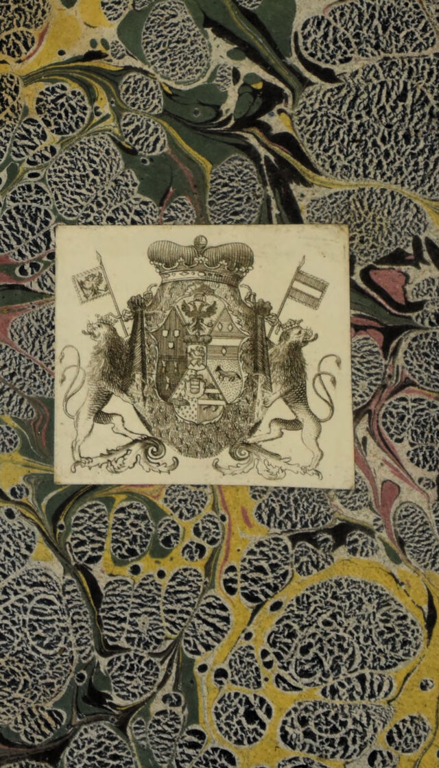 No text description is available for this image