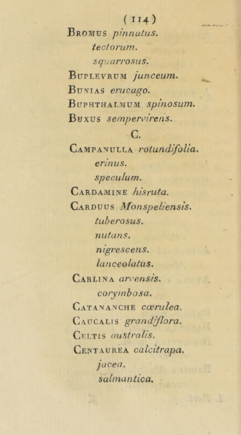Bromus pfnnatus. tecforum. squarrosus. Büplevrum /unceum. B U VI AS erucago. Buphthaemüm spînosum. Buxus semperi’i'rens. C. Campanülla rotundifoUa. erinus. spéculum. Carda MINE lus rut a. Car DU us Monspeliensîs. tuberosus. nutans. nigresceiis. lauceoiafus. Carlina arre/isls. corymbosa, Catavanche cœrulea. C vuCALis grandl/lora. Crltis (lustrnlis. Centaure A calcitrapa. jacea. salmantica. ■