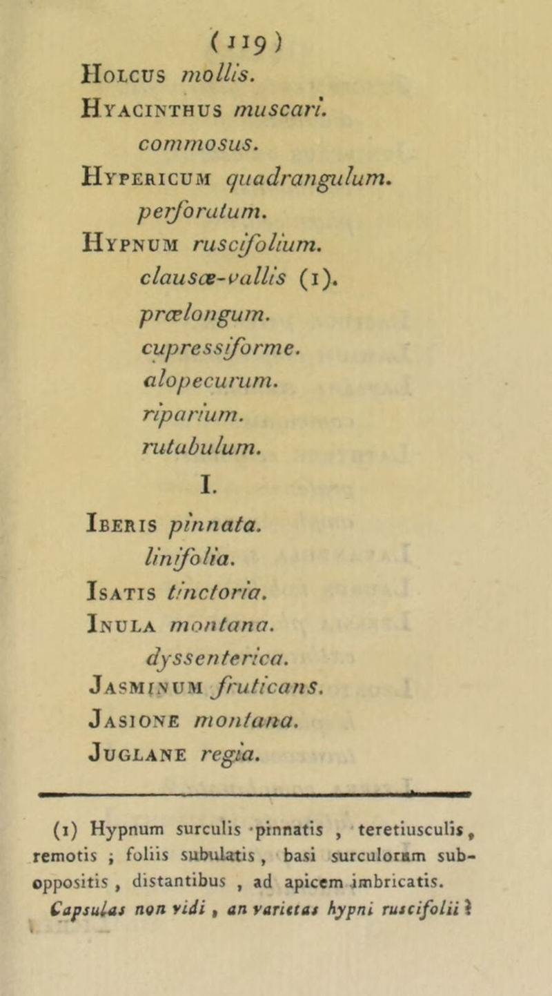 ( JI9 ) IIoLCUS mollis. Hyacinthus muscari. commosus. Hypericum quadrangiilum. perforatum. Hypnum ruscifolium. clausæ-vallis (i). prœlonguîn. cupressi/brme. alopecurum. riporium. rutubulum. 1. Iberis pinnata. linifolia. Isatis tinctoria. Inula montana. dyssenterica. Jasmi.vüm Jruticaus. Jasione montana, JuGLANE regia. (i) Hypnum surculis -pinnatis , * teretiusculis , remotis ; fuliis subulatis , bas! surculoram $ub> oppositis , distantibus , ad apicem jmbricatis. Capsulai non vidi , an rarittas hypni ruscifolii }