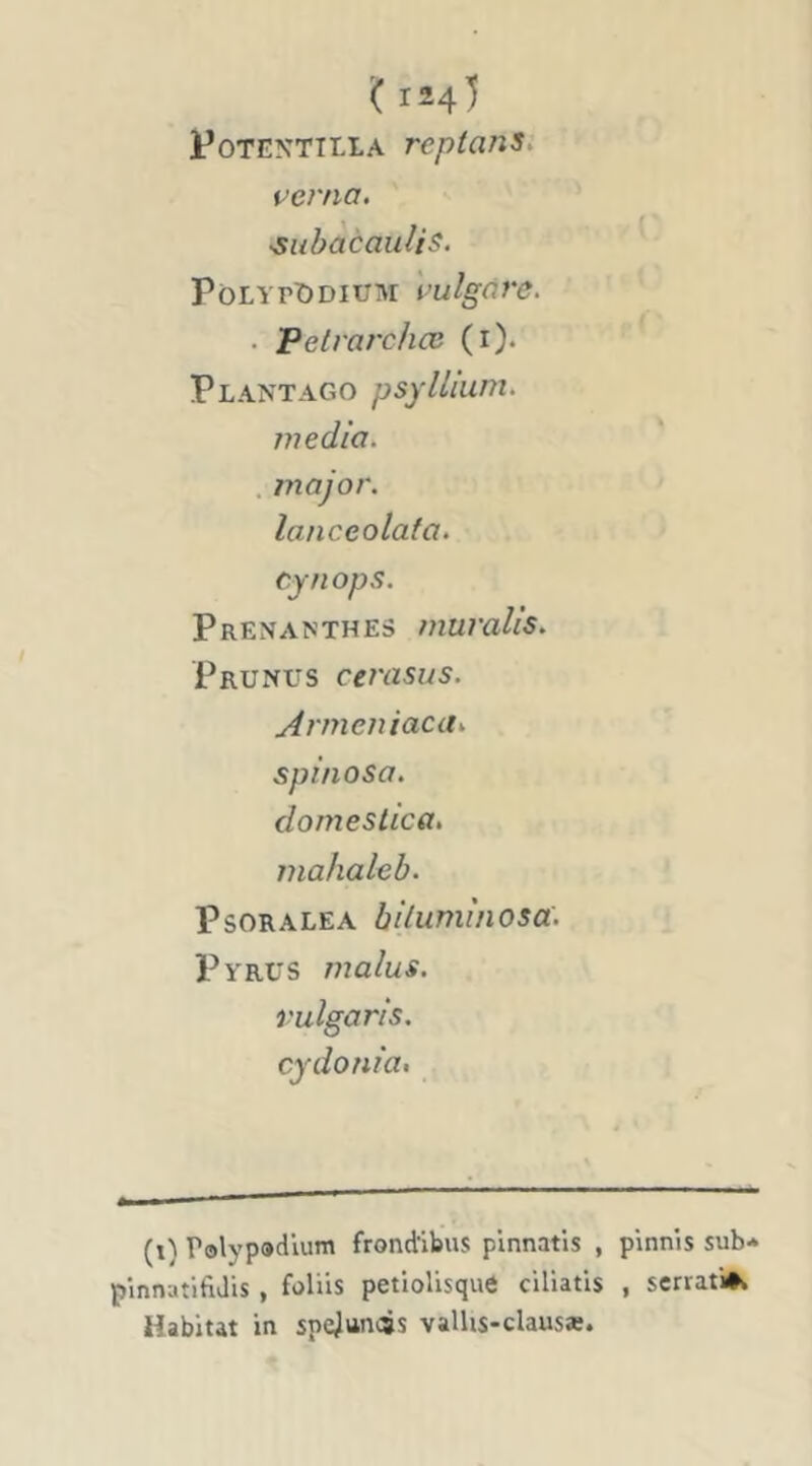 '( 124^ PoTENTTLLA reptanSi vcrna. •subacaidis. PôLYrî)DiuM \’ulgàre. • Petrarchœ (i). Plantago psyllium, media. , major, lanceolafa. cynops. Prenanthes muralis. Prunus cerasus. Armeiûaca.. spinosa. domeslica. mahaleb. PsoRALEA biluminosa. Pyrüs malus, rulgaris. cydonia> (t) Palypadlum frondibus plnnatis , pinnis sub* pinnatifiJis , foliis petiolisque ciliatis , scrrati*» Habitat in spejttnâs valhs-claus*.