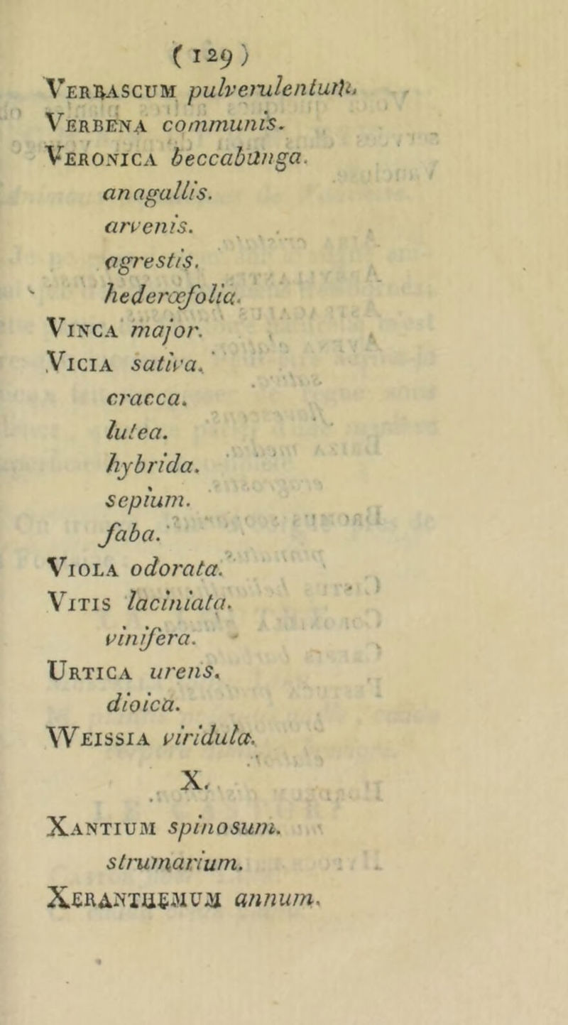 Verivascum pulveiXilenlutU* \T ! l' V ERBENA communis. Veronica beccahünga. an O gain s. aruenis. \ - * agrestis. hedera^olici. ViifiQx major. ^ Vicia satîra^ cracca. lutea. hybrida, sepium. /> , 4( ' - I • - • » faha.' ' Viola odorata. ViTis lacîniata. \ vînifera. Urtica urens, dioicü. Wjeissia virldida. Xantiui\i spinoswn. strumarium. aiinwn.