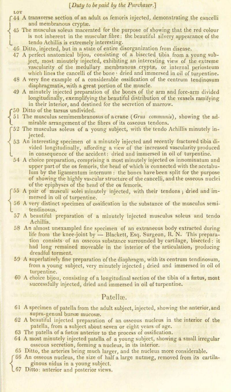 LOT |*44 A transverse section of an adult os femoris injected, demonstrating the cancelli and membranous cryptse. 45 The musculus soleus macerated for the purpose of showing that the red colour is not inherent in the muscular fibre: the beautiful silvery appearance of the L tendo Achillis is extremely interesting. 40 Ditto, injected, but in a state of entire disorganization from disease. 47 A perfect anatomical bijou, consisting of a bisected tibia from a young sub- ject, most minutely injected, exhibiting an interesting view of the extreme vascularity of the medullary membranous cryptae, or internal periosteum which lines the cancelli of the bone : dried and immersed in oil of turpentine. 48 A very fine example of a considerable ossification of the centrum tendinosum diaphragmatis, with a great portion of the muscle. 49 A minutely injected preparation of the bones of the arm and fore-arm divided longitudinally, exemplifying the beautiful distribution of the vessels ramifying in their interior, and destined for the secretion of marrow. r50 Ditto of the tarsus undivided. < 51 The musculus semimembranosus of acrane (Grus communis), showing the ad- L mirable arrangement of the fibres of its osseous tendons. (*52 The musculus soleus of a young subject, with the tendo Achillis minutely in- jected. < 53 An interesting specimen of a minutely injected and recently fractured tibia di- vided longitudinally, affording a view of the increased vascularity produced in consequence of the accident: dried and immersed in oil of turpentine. 54 A choice preparation, comprising a most minutely injected os innominatum and upper part of the os femoris, the head of which is connected with the acetabu- lum by the ligamentum internum : the bones have been split for the purpose of showing the highly vascular structure of the cancelli, and the osseous nuclei of the epiphyses of the head of the os femoris. '55 A pair of musculi solei minutely injected, with their tendons j dried and im- mersed in oil of turpentine. 56 A very distinct specimen of ossification in the substance of the musculus semi- tendinosus. 57 A beautiful preparation of a minutely injected musculus soleus and tendo Achillis. 58 An almost unexampled fine specimen of an extraneous body extracted during life from the knee-joint by — Blackett, Esq. Surgeon, R. N. This prepara- tion consists of an osseous substance surrounded by cartilage, bisected: it had long remained moveable in the interior of the articulation, producing dreadful torment. 59 A superlatively fine preparation of the diaphragm, with its centrum tendinosum, from a young subject, very minutely injected; dried and immersed in oil of turpentine. 60 A choice bijou, consisting of a longitudinal section of the tibia of a foetus, most successfully injected, dried and immersed in oil of turpentine. Patellae. 61 A specimen of patella from the adult subject, injected, showing the anterior, and supra-genual bursae mucosae. 62 A beautiful injected preparation of an osseous nucleus in the interior of the patella, from a subject about seven or eight vears of age. 63 The patella of a foetus anterior to the process of ossification. 64 A most minutely injected patella of a young subject, showing a small irregular osseous secretion, forming a nucleus, in its interior. 65 Ditto, the arteries being much larger, and the nucleus more considerable. f 66 An osseous nucleus, the size of half a large nutmeg, removed from its cartila- tginous nidus in a young subject. 67 Ditto: anterior and posterior views.