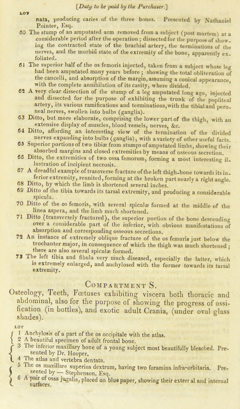 LOI nata, producing caries of the three bones. Presented by Nathaniel Pointer, Esq. 60 The stump of an amputated arm removed from a subject (post mortem) at a considerable period after the operation ; dissected for the purpose of show- ing the contracted state of the brachial artery, the terminations of the nerves, and the morbid state of the extremity of the bone, apparently ex- foliated. 01 The superior half of the os femoris injected, taken from a subject whose leg had been amputated many years before ; showing the total obliteration of the cancelli, and absorption of the margin, assuming a conical appearance with the complete annihilation of its cavity, where divided. 62 A very clear dissection of the stump of a leg amputated long ago. injected and dissected for the purpose of exhibiting the trunk of the popliteal artery, its various ramifications and terminations,with the tibialand pero- neal nerves, swollen into bulbs (ganglia). 63 Ditto, but more elaborate, comprising the lower part of the thigh, with an extensive display of muscles, blood vessels, nerves, &c. 64 Ditto, affording an interesting view of the termination of the divided nerves expanding into bulbs (ganglia), with a variety of other useful facts. 65 Superior portions of two tibiae from stumps of amputated limbs, showing their absorbed margins and closed extremities by means of osseous secretion. 66 Ditto, the extremities of two ossa femorum, forming a most interesting il- lustration of incipient necrosis. 67 A dreadful example of transverse fracture of the left thigh-bone towards its in- ferior extremity, reunited, forming at the broken part nearly a right angle. 68 Ditto, by which the limb is shortened several inches. 69 Ditto of the tibia towards its tarsal extremity, and producing a considerable spicula. 70 Ditto of the os femoris, with several spicul® formed at the middle of the linea aspera, and the limb much shortened. 71 Ditto (transversely fractured), the superior portion of the bone descending over a considerable part of the inferior, with obvious manifestations of absorption and corresponding osseous secretions. 72 An instance of extremely oblique fracture of the os femoris just below the trochanter major, in consequence of which the thigh was much shortened : there are also several spicul® formed. 73 I he left tibia and fibula very much diseased, especially the latter, which is extremely enlarged, and anchylosed with the former towards its tarsal extremity. Compartment S. Osteology, Teeth, Foetuses exhibiting viscera both thoracic and abdominal, also for the purpose of showing the progress of ossi- fication (in bottles), and exotic adult Crania, (under oval Hass shades). LOT r 1 Anchylosis of a part of the os occipitale with the atlas. ( 2 A beautiful specimen of adult frontal bone. r 3 Fhe inferior maxillary bone of a young subject most beautifully bleached. Pre- ^ sented by Dr. Hooper. L 4 The atlas and vertebra dentata. 5 The os maxillare superius dextrum, having two foramina infra-orbitaria. Pre- I sented by -- Stephenson, Esq. i ^ ^ surfaces>SSa P^ace^ on blue PaPer/ showing their exterr al and internal