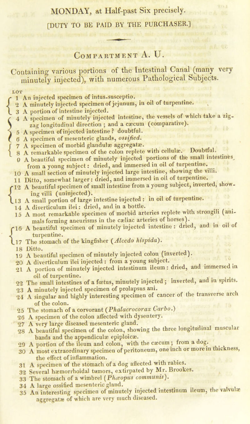 MONDAY, at Half-past Six precisely. [DUTY TO BE PAID BY THE PURCHASER.] Compartment A. U. Containing- various portions of the Intestinal Canal (many very minutely injected), with numerous Pathological Subjects. LOT r 1 An injected specimen of intus-susceptio. J 2 A minutely injected specimen of jejunum, in oil of turpentine. \ 3 A portion of intestine injected. ^ 4 A specimen of minutely injected intestine, the vessels of which take a zig- \ zag longitudinal direction ; and a caecum (comparative). \ 5 A specimen of injected intestine ? doubtful, f 6 A specimen of mesenteric glands, ossified. f 7 A specimen of morbid glandul® aggregate. [ 8 A remarkable specimen of the colon replete with cellulae. Doubtful. 0 A beautiful specimen of minutely injected portions of the small intestines^ from a yonng subject: dried, and immersed in oil of turpentine,. 10 A small section of minutely injected large intestine, showing the villi. 11 Ditto, somewhat larger: dried, and immersed in oil of turpentine. {12 A beautiful specimen of small intestine from a young subject, inverted, show- ing villi (uninjected). 13 A small portion of large intestine injected : in oil of turpentine. 14 A diverticulum ilei: dried, and in a bottle. . 15 A most remarkable specimen of morbid arteries replete with strongih (ani- mals forming aneurisms in the cadiac arteries of horses). {16 A beautiful specimen of minutely injected intestine : dried, and in oil of turpentine. 17 The stomach of the kingfisher (Alcedo hispidu). 19 A beautiful specimen of minutely injected colon (inverted). 20 A diverticulum ilei injected : from a young subject. 21 A portion of minutely injected intestinum ileum: dried, and immersed in oil of turpentine. 22 The small intestines of a foetus, minutely injected ; inverted, and in spirits. 23 A minutely injected specimen of prolapsus ani. 24 A singular and highly interesting specimen of cancer of the transverse arch of the colon. 25 The stomach of a corvorant (Phalacrocorax Carbo.) 26 A specimen of the colon affected with dysentery. 27 A very large diseased mesenteric gland. 28 A beautiful specimen of the colon, showing the three longitudinal muscu ai bands and the appendiculae epiploicae. 29 A portion of the ileum and colon, with the cajcum ; from a dog. 30 A most extraordinary specimen of peritoneum, one inch or more in thickness, the effect of inflammation. 31 A specimen of the stomach of a dog affected with rabies. 32 Several ha:morrhoidal tumors, extirpated by Mr. Brookes. 33 The stomach of a wimbrel (Phceopus communis). 34 A large ossified mesenteric gland. . . 35 An interesting specimen of minutely injected intestinum ileum, the vaivulie aggregate of which are very much diseased.