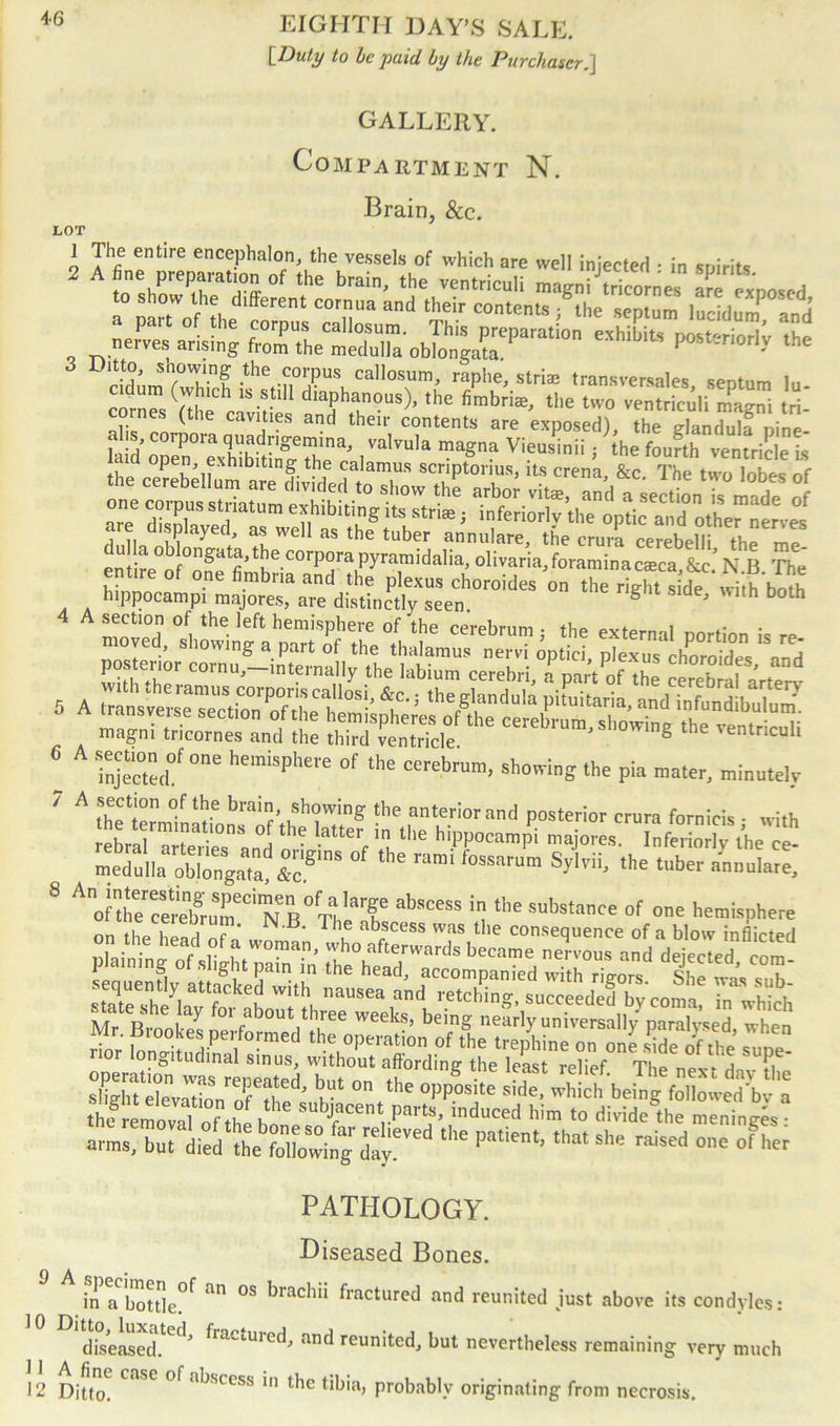 [Duty to be paid by the Purchaser.] GALLERY. Compartment N. Brain, See. LOT ] The entire encephalon, the vessels of which are well injected • in soirits comes (the cavmes and their contents are exposed), the Xdulf nine' teffE™' ,valvnla W Viens’inii . ’[he fou?TvetriSet the ce^SStZrTKfi 5 r=:rs du la oblongata, the corpora pyramidalia, olivaria, foramina caeca &c\\ B The 4 °° ****.■&•& ® injected*^ °M °f the “reb™>- lowing pia mater, minutely ' A ;',e'tJn of lbe brai. showing the anterior and posterior crura fornieis • with elo r 0nS “I 't,er in ll,e hippocampi majores. InferLTthe ce^ medulla^blongataf&c5'nS rami f°SSar“m Syl’'ii' ,he tubei' a»'a'c, 8 Anoo“eTemTrumeCiNeB0fTI'“T “bSCeSS ‘l the subs,aca of one hemisphere sa#lls=ii'iKS 0 tudinal sinus, without affording the least relief TIip npvr rin !i ESvataTr' r ‘ the °PP°site s'b whicMjeing6foHowed’bv a thl emovaTof the h^ subJacent, Par's- duced him to divide the meningjs the l>a,iet-ll,at she raised °i,e PATHOLOGY. Diseased Bones. in a bottled an °S ^>rac*1‘‘ fractured and reunited just above its condyles: diseased. ^ framed, and reunited, but nevertheless remaining very much 12 Ditto. access in the tibia, probably originating from necrosis.