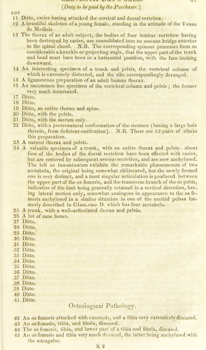 LOT 11 Ditto, caries having attacked the cervical and dorsal vertebra. 12 A beautiful skeleton of a young female, standing in the attitude of the Venus de Medicis. 13 The thorax of an adult subject, the bodies of four lumbar vertebra having been destroyed by caries, are consolidated into an osseous bridge anterior to the spinal chord. N.B. The corresponding spinous processes form so considerable a knuckle or projecting augle, that the upper part of the trunk and head must have been in a horizontal position, with the face looking downward. 14 An interesting specimen of a trunk and pelvis, the vertebral column of which is extremely distorted, and the ribs correspondingly deranged. 15 A ligamentous preparation of an adult human thorax. 16 An uncommon fine specimen of the vertebral column and pelvis ; the former very much incurvated. 17 Ditto. 18 Ditto. 19 Ditto, an entire thorax and spine. 20 Ditto, with the pelvis. 21 Ditto, with the sacrum only. 22 Ditto, with a preternatural conformation of the sternum (haviug a large hole therein, from deficient ossification). N.B. There are 13 pairs of ribs in this preparation. 23 A natural thorax and pelvis. 24 A valuable specimen of a trunk, with an entire thorax and pelvis: about four of the bodies of the dorsal vertebra have been affected with caries, but are restored by subsequent osseous secretion, and are now anchylosed. The left os innominatum exhibits the remarkable phasnomenon of two acetabula, the original being somewhat obliterated, but the newly formed one is very distinct, and a most singular articulation is produced between the upper part of the os femoris, and the transverse branch of the os pubis, indicative of the limb being generally retained in a vertical direction, hav- ing lateral motion only, somewhat analogous in appearance to the os fe- moris anchylosed in a similar situation in one of the morbid pelves for- merly described in Glass-case D. which has four acetabula. 25 A trunk, with a well-articulated thorax and pelvis. 26 A lot of sane bones. 27 Ditto. 28 Ditto. 29 Ditto. 30 Ditto. 31 Ditto. 32 Ditto. 33 Ditto. 34 Ditto. 35 Ditto. 36 Ditto. 37 Ditto. 38 Ditto. 39 Ditto. 40 Ditto. 41 Ditto. Osteological Pathology. 42 An os femoris attacked with exostosis, and a tibia very extensively diseased. 43 An os femoris, tibia, and fibula, diseased. 44 The os femoris, tibia, and lower part of a tibia and fibula, diseased. 45 An os femoris and tibia very much diseased, the latter being anchylosed with the astragalus. K 2