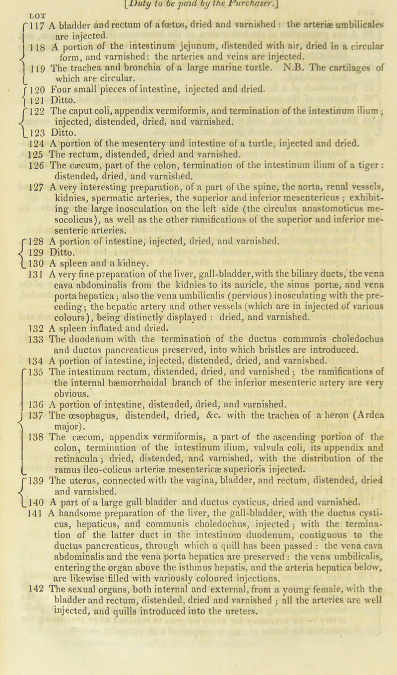 127 fl28 \ 129 L130 131 132 133 134 135 < 13G 137 138 { 139 140 141 142 A bladder and rectum of a foetus, dried and varnished : the arteriae umbilicales are injected. A portion of the intestinum jejunum, distended with air, dried in a circular form, and varnished: the arteries and veins are injected. The trachea and bronchia of a large marine turtle. N.B. The cartilages of which are circular. Four small pieces of intestine, injected and dried. Ditto. The caput coli, appendix vermiformis, and termination of the intestinum ilium ; injected, distended, dried, and varnished. Ditto. A portion of the mesentery and intestine of a turtle, injected and dried. The rectum, distended, dried and varnished. The caecum, part of the colon, termination of the intestinum ilium of a tiger : distended, dried, and varnished. A very interesting preparation, of a part of the spine, the aorta, renal vessels, kidnies, spermatic arteries, the superior and inferior mesentericus ; exhibit- ing the large inosculation on the left side (the circulus anastomoticus me- socolicus), as well as the other ramifications of the superior and inferior me- senteric arteries. A portion of intestine, injected, dried, and varnished. Ditto. A spleen and a kidney. A very fine preparation of the liver, gall-bladder,with the biliary ducts, the vena cava abdominalis from the kidnies to its auricle, the sinus portae, and vena porta hepatica; also the venaumbilicalis (pervious) inosculating with the pre- ceding ; the hepatic artery and other vessels (which are in injected of various colours), being distinctly displayed : dried, and varnished. A spleen inflated and dried. The duodenum with the termination of the ductus communis choledochus and ductus pancreaticus preserved, into which bristles are introduced. A portion of intestine, injected, distended, dried, and varnished. The intestinum rectum, distended, dried, and varnished; the ramifications of the internal haemorrhoidal branch of the inferior mesenteric artery are very obvious. A portion of intestine, distended, dried, and varnished. The oesophagus, distended, dried, &c. with the trachea of a heron (Ardea major). The caecum, appendix vermiformis, a part of the ascending portion of the colon, termination of the intestinum ilium, valvula coli, its appendix and retinacula ; dried, distended, and varnished, with the distribution of the ramus ileo-colicus arteriae mesentericse superioris injected. The uterus, connected with the vagina, bladder, and rectum, distended, dried and varnished. A part of a large gall bladder and ductus cysticus, dried and varnished. A handsome preparation of the liver, the gall-bladder, with the ductus cysti- cus, hepaticus, and communis choledochus, injected ; with the termina- tion of the latter duct in the intestinum duodenum, contiguous to the ductus pancreaticus, through which a quill has been passed : the vena cava abdominalis and the vena porta hepatica are preserved : the vena umbilicalis, entering the organ above the isthmus hepatis, and the arteria hepatica below, are likewise filled with variously coloured injections. The sexual organs, both internal and external, from a young female, with the bladder and rectum, distended, dried and varnished ; all the arteries are well injected, and quills introduced into the ureters.