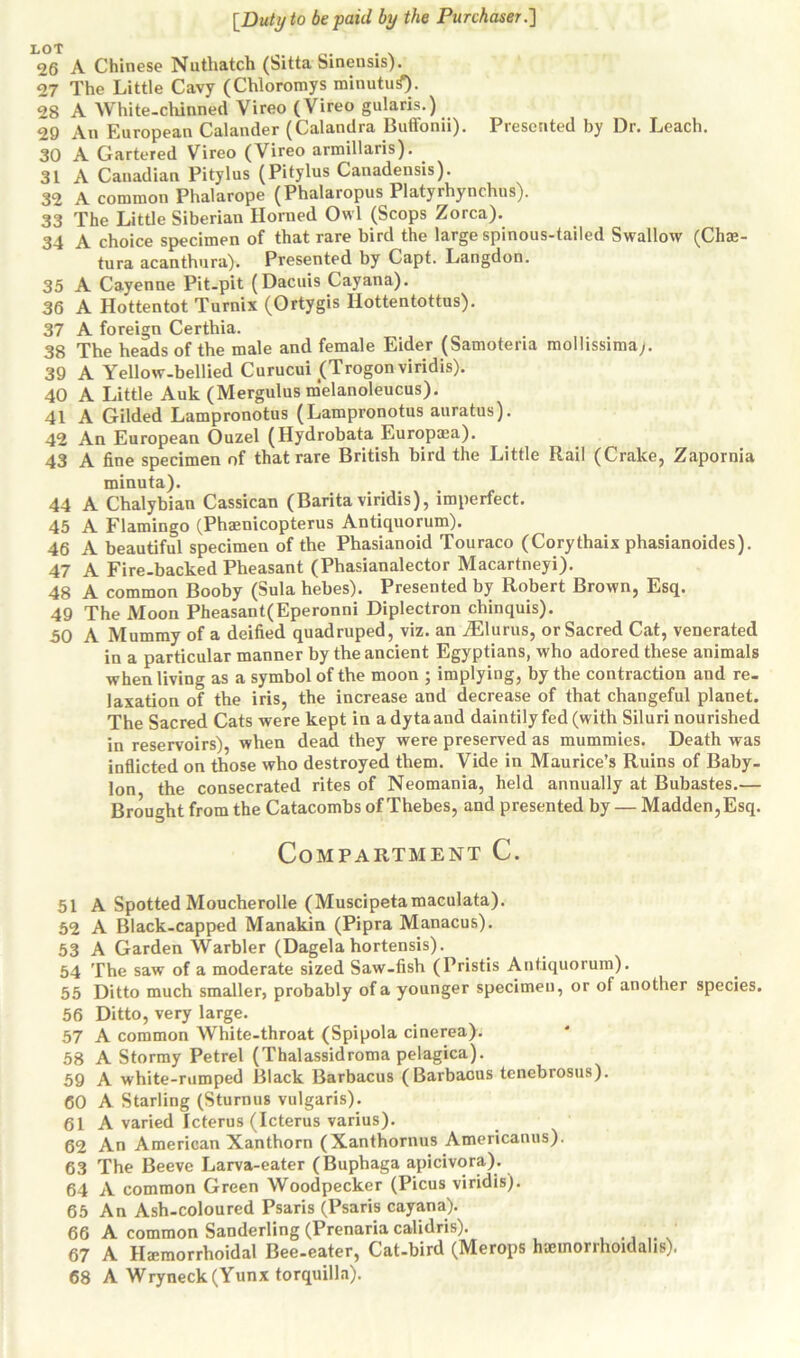 LOT . 26 A Chinese Nuthatch (Sitta Sinensis). 27 The Little Cavy (Chloromys minutusf). 28 A White-chinned Vireo (Vireo gularis.) 29 An European Calander (Calandra Buffonii). Presented by Dr. Leach. 30 A Gartered Vireo (Vireo armillaris). 31 A Canadian Pitylus (Pitylus Canadensis). 32 A common Phalarope (Phalaropus Platyrhynchus). 33 The Little Siberian Horned Owl (Scops Zorca). 34 A choice specimen of that rare bird the large spinous-tailed Swallow (Chae- tura acanthura). Presented by Capt. Langdon. 35 A Cayenne Pit-pit (Dacuis Cayana). 36 A Hottentot Turnix (Ortygis Iiottentottus). 37 A foreign Certhia. 38 The heads of the male and female Eider (Samoteria mollissima). 39 A Yellow-bellied Curucui (Trogon viridis). 40 A Little Auk (Mergulus melanoleucus). 41 A Gilded Lampronotus (Lampronotus auratus). 42 An European Ouzel (Hydrobata Europea). 43 A fine specimen of that rare British bird the Little Rail (Crake, Zapornia minuta). 44 A Chalybian Cassican (Barita viridis), imperfect. 45 A Flamingo (Phaenicopterus Antiquorum). 46 A beautiful specimen of the Phasianoid Touraco (Corythaix phasianoides). 47 A Fire-backed Pheasant (Phasianalector Macartneyi). 48 A common Booby (Sula hebes). Presented by Robert Brown, Esq. 49 The Moon Pheasant(Eperonni Diplectron chinquis). 50 A Mummy of a deified quadruped, viz. an iElurus, or Sacred Cat, venerated in a particular manner by the ancient Egyptians, who adored these animals when living as a symbol of the moon ; implying, by the contraction and re- laxation of the iris, the increase and decrease of that changeful planet. The Sacred Cats were kept in adyta and daintily fed (with Siluri nourished in reservoirs), when dead they were preserved as mummies. Death was inflicted on those who destroyed them. Vide in Maurice’s Ruins of Baby- lon the consecrated rites of Neomania, held annually at Bubastes.— Brought from the Catacombs of Thebes, and presented by — Madden, Esq. Compartment C. 51 A Spotted Moucherolle (Muscipetamaculata). 52 A Black-capped Manakin (Pipra Manacus). 53 A Garden Warbler (Dagela hortensis). 54 The saw of a moderate sized Saw-fish (Pristis Antiquorum). 55 Ditto much smaller, probably of a younger specimen, or of another species. 56 Ditto, very large. 57 A common White-throat (Spipola cinerea). 58 A Stormy Petrel (Thalassidroma pelagica). 59 A white-rumped Black Barbacus (Barbacus tenebrosus). 60 A Starling (Sturnus vulgaris). 61 A varied Icterus (Icterus varius). 62 An American Xanthorn (Xanthornus Americanus). 63 The Beeve Larva-eater (Buphaga apicivora). 64 A common Green Woodpecker (Picus viridis). 65 An Ash-coloured Psaris (Psaris cayana). 66 A common Sanderling (Prenaria calidris). ..... 67 A Hemorrhoidal Bee-eater, Cat-bird (Merops hemorrhoidahs). 68 A Wryneck (Yunx torquilla).