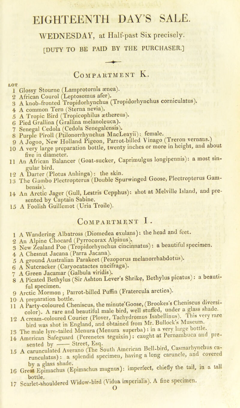WEDNESDAY, at Half-past Six precisely. [DUTY TO BE PAID BY THE PURCHASER.] Compartment K. LOT 1 Glossy Stourne (Lamprotornls aenea). 2 African Courol (Leptosomus afer). 3 A knob-fronted Tropidorhynchus (Tropidorhynchus cormculatus). 4 A common Tern (Sterna nevia). 5 A Tropic Bird (Tropicophilus aethereus). 6 Pied Grallina (Grallina melanoleuca). 7 Senegal Cedola (Cedola Senegalensis). 8 Purple Piroll (Ptilonorrhynchus MacLeayii): female. 9 A Jogoo, New Holland Pigeon, Parrot-billed Yinago (Treron vernans.) 10 A very large preparation bottle, twenty inches or more in height, and about five in diameter. . . 11 An African Balancer (Goat-sucker, Caprimulgus longipenms): a most sin- gular bird. 12 A Darter (Plotus Anhinga): the skin. 13 The Gambo Plectropterus (Double Spurwinged Goose, Plectropterus uam- 14 An Arctic Jager (Gull, Lestris Cepphus): shot at Melville Island, and pre- sented by Captain Sabine. 15 A Foolish Guillemot (Uria Troile). Compartment I. 1 A Wandering Albatross (Diomedea exulans): the head and feet. 2 An Alpine Chocard (Pyrrocorax Alpinus). 3 New Zealand Poe (Tropidorhynchus cincinnatus): a beautiful specimen. 4 A Chesnut Jacana (Parra Jacana). 5 A ground Australian Parakeet (Pezoporus melanorrhabdotus). 6 A Nutcracker (Caryocatactes nucifraga). 7 A Green Jacamar (Galbula viridis). . , 8 A Picated Bethylus (Sir Ashton Lever’s Shrike, Bethylus picatus): a beauti- ful specimen. 9 Arctic Mormon ; Parrot-billed Puffin (Fratercula arctica). 10 A preparation bottle. , . ,. 11 A Partv-coloured Cheniscus, the minute'Goose, (Brookes s Chemscus diversi- color’). A rare and beautiful male bird, well stuffed, under a glass shade. 12 A cream-coloured Courier (Plover, Tachydromus Isabelhnus). rlhis very rare bird was shot in England, and obtained from Mr. Bullock s Museum. 13 The male lyre-tailed Menura (Menura superba): in a very large bottle. 14 American Safeguard (Perenetes teguixin): caught at Pernambuca and pre- sented by Street, Esq. , „ . , 15 A carunculated Averano (The South American Bell-bird, Casmarhynchus ca- runculatus): a splendid specimen, having a long caruncle, and covered 16 Great Epimachus (Epimachus magnus): imperfect, chiefly the tail, in a tall 17 Scarlet-shouldered Widow-bird (Vidua imperialis). A fine specimen.