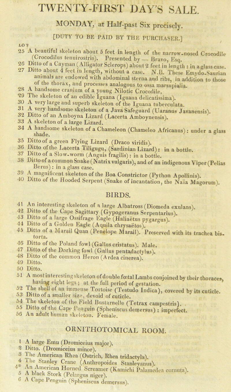 TWENTY-FIRST DAY’S SALE. MONDAY, at Half-past Six precisely. [DUTY TO BE PAID BY THE PURCHASER.] 1.0 T 25 A beautiful skeleton about 5 feet in length of the narrow-nosed Crocodile (Crocodilus tenuirostris). Presented by Bravo, Esq. °(a Cay*?an (Alligator Sclerops) about 2 feet iu’length : in a glass case. 2/ Ditto about 4 feet in length, without a case. N.B. These Emydo-Saurian animals are endowed with abdominal sterna and ribs, in addition to those o the thorax, and processes analogous to ossa marsupialia. 28 A handsome cranium of a young Nilotic Crocodile. 29 The skeleton of an edible Iguana (Iguana delicatissima). 30 A very large and superb skeleton of the Iguana tuberculata. 31 A very handsome skeleton of a Java Safeguard (Uaranus Javanensis). 32 Ditto of an Amboyna Lizard (Lacerta Amboynensis). 33 A skeleton of a large Lizard. 34 A shacfSOme Skelet°n °f a Chameleon (Chameleo Africanus): under a glass 35 Ditto of a green Flying Lizard (Draco viridis). 36 Ditto of the Lacerta Tiligugu, (Sardinian Lizard): in a bottle. 37 Ditto of a Slow-worm (Anguis fragilis): in a bottle. 38 Ditto of a common Snake (Natrix vulgaris), and of an indigenous Viper (Pelias Berus) : in a glass case. v 39 A magnificent skeleton of the Boa Constrictor (Python Apollinis). 40 Ditto of the Hooded Serpent (Snake of incantation, the Nai'a Magorum). BIRDS. 41 An interesting skeleton of a large Albatross (Diomeda exulans). 42 Ditto of the Cape Sagittary (Gypogeranus Serpentarius). 13 Ditto of a large Ossifrage Eagle (Haliaetus pygargus). 44 Ditto of a Golden Eagle (Aquila chrysaetos). 45 Ditto of a M a rail Quan (Penelope Marail). Preserved with its trachea bis. torta. 46 Ditto of the Poland fowl (Gallus cristatus). Male. 47 Ditto of the Dorking fowl (Gallus pentadactylus). 48 Ditto of the common Heron (Ardea cinerea') 49 Ditto. ' 50 Ditto. 51 A most in teres ting skeleton of double foetal Lambs conjoined by their thoraces having eight legs ; at the full period of gestation. 52 The shell of an immense Tortoise (Testudo Indica), covered by its cuticle 53 Ditto of a smaller size, devoid of cuticle. 54 The skeleton of the Held Bustarnelle (Tetrax campestris). 55 Ditto of the Cape Penguin (Spheniscus demersus) : imperfect. 56 An adult human skeleton. Female. ORNITHOTOMICAL ROOM. 1 A large Emu (Dromiceius major). 2 Ditto. (Dromiceius minor). 3 ’[]lc American Rhea (Ostrich, Rhea tridactyk). a* Ahe Stanley Crane (Anthropoides Stanlevanus). e a”11 ToCan,IIorncd Screamer (Kamichi Palamedea cornuta). 5 A black Stork (Pelargus niger). C A Cape Penguin (Spheniscus demersus).