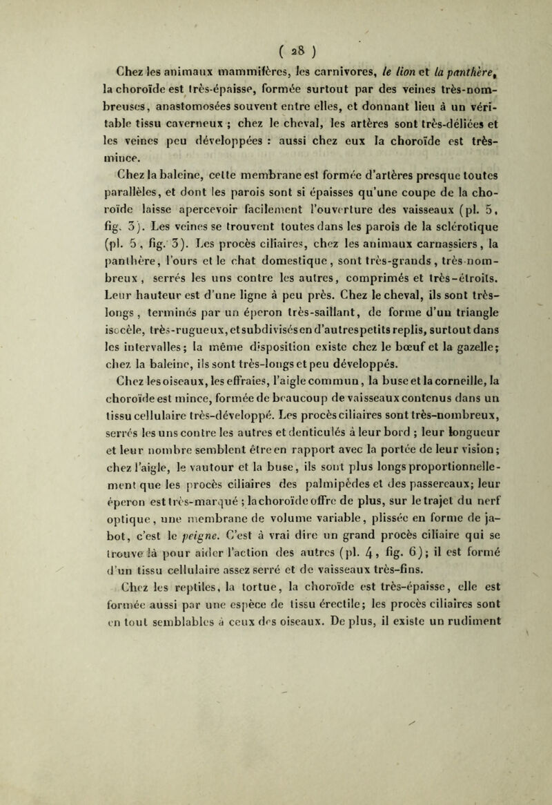 ( ) Chez les animaux mammifères, les carnivores, le lion et la panthère^ la choroïde est très-épaisse, formée surtout par des veines très-nom- breuses, anastomosées souvent entre elles, et donnant lieu à un véri- table tissu caverneux ; chez le cheval, les artères sont très-délices et les veines peu développées : aussi chez eux la choroïde est très- mince. Chez la baleine, celle membrane est formée d’artères presque toutes parallèles, et dont les parois sont si épaisses qu’une coupe de la cho- roïde laisse apercevoir facilement l’ouverture des vaisseaux (pl. 5, fig, 3). Les veines se trouvent toutes dans les parois de la sclérotique (pl. 5 , fig. 3). Les procès ciliaires, chez les animaux carnassiers, la panthère, l’ours et le chat domestique, sont très-grands, très nom- breux , serrés les uns contre les autres, comprimés et très-étroits. Leur hauteur est d’une ligne à peu près. Chez le cheval, ils sont très- longs, terminés par un éperon très-saillant, de forme d’un triangle isocèle, très-rugueux,etsubdivisésend’aulrespelits replis, surtout dans les intervalles; la même disposition existe chez le bœuf et la gazelle; chez la baleine, ils sont très-longs et peu développés. Chez lesoiseaux, les effraies, l’aiglecommun, la buse et la corneille, la choroïde est mince, formée de beaucoup de vaisseaux contenus dans un tissu cellulaire très-développé. Les procès ciliaires sont très-nombreux, serrés les uns contre les autres et denticulés à leur bord ; leur longueur et leur nombre semblent être en rapport avec la portée de leur vision; chez l’aigle, le vautour et la buse, ils sont plus longs proportionnelle- ment que les procès ciliaires des palmipèdes et des passereaux; leur éperon est très-marqué ; la choroïde offre de plus, sur le trajet du nerf optique, une membrane de volume variable, plisséc en forme de ja- bot, c’est le peigne. C’est à vrai dire un grand procès ciliaire qui se trouve là pour aider l’action des autres (pl. 4» fig* 6); d t'st formé d’un tissu cellulaire assez serré et de vaisseaux très-fins. Chez les reptiles, la tortue, la choroïde est très-épaisse, elle est formée aussi par une espèce de tissu érectile; les procès ciliaires sont en tout semblables à ceux des oiseaux. De plus, il existe un rudiment