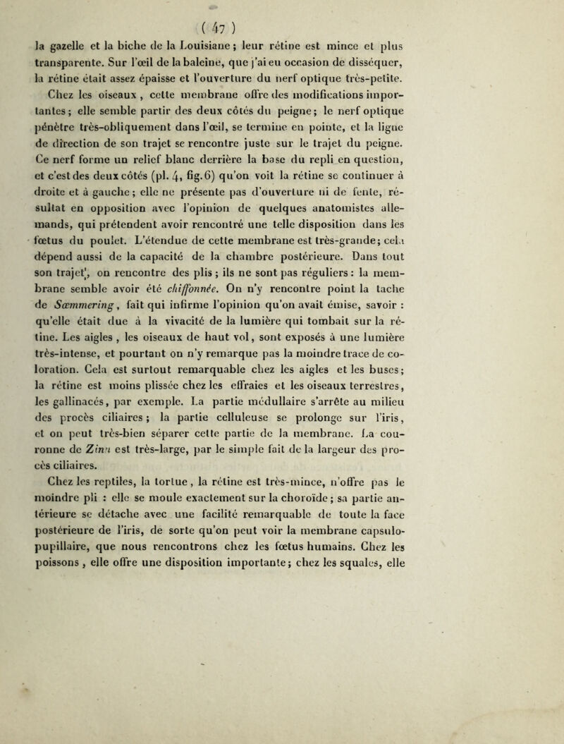 la gazelle et la biche de la Louisiane ; leur rétine est mince et plus transparente. Sur l’œil de la baleine, que j’ai eu occasion de disséquer, la rétine était assez épaisse et l’ouverture du nerf optique très-petite. Chez les oiseaux, celte membrane oIFre des modifications impor- tantes; elle semble partir des deux côtés du peigne; le nerf optique pénètre très-obliquement dans l’œil, se termine en pointe, et la ligue de direction de son trajet se rencontre juste sur le trajet du peigne. Ce nerf forme un relief blanc derrière la base du repli en question, et c’est des deux côtés (pl. 4i fig«6) qu’on voit la rétine se continuer à droite et à gauche; elle ne présente pas d’ouverture ni de fente, ré- sultat en opposition avec l’opinion de quelques anatomistes alle- mands, qui prétendent avoir rencontré une telle disposition dans les fœtus du poulet. L’étendue de cette membrane est très-grande; cela dépend aussi de la capacité de la chambre postérieure. Dans tout son trajet], on rencontre des plis ; ils ne sont pas réguliers : la mem- brane semble avoir été chiffonnée. On n’y rencontre point la tache de Sœmmering, fait qui infirme l’opinion qu’on avait émise, savoir : qu’elle était due à la vivacité de la lumière qui tombait sur la ré- tine. Les aigles , les oiseaux de haut vol, sont exposés à une lumière très-intense, et pourtant on n’y remarque pas la moindre trace de co- loration. Gela est surtout remarquable chez les aigles et les buses ; la rétine est moins plissée chez les effraies et les oiseaux terrestres, les gallinacés, par exemple. La partie médullaire s’arrête au milieu des procès ciliaires; la partie celluleuse se prolonge sur l’iris, et on peut très-bien séparer cette partie de la membrane. La cou- ronne de Zin'i est très-large, par le simple fait de la largeur des pro- cès ciliaires. Chez les reptiles, la tortue, la rétine est très-mince, n’offre pas le moindre pli : elle se moule exactement sur la choroïde; sa partie an- térieure se détache avec une facilité remarquable de toute la face postérieure de l’iris, de sorte qu’on peut voir la membrane capsulo- pupillaire, que nous rencontrons chez les fœtus humains. Chez les poissons , elle offre une disposition importante; chez les squales, elle