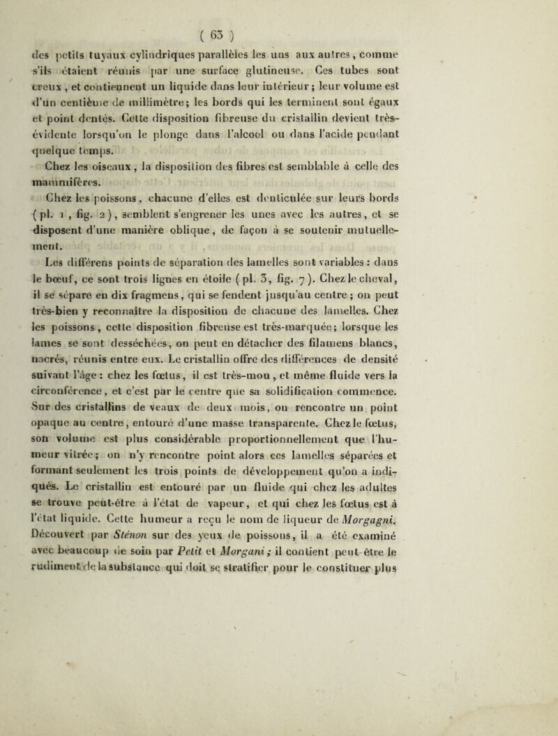 ( 65 ) cics petits tuyaux cylindriques parallèles les uns aux autres , comme s’ils étaient réunis par une surface glutineuse. Ces tubes sont creux , et contiennent un liquide dans leur intérieur; leur volume est d’un cenlièuîe de millimètre; les bords qui les terminent sont égaux et point dentés. Celte disposition fibreuse du cristallin devient très- évidente lorsqu’on le plonge dans l’alcool ou dans l’acide pendant quelque temps. Chez les oiseaux , la disposition des fibres est semblable à celle des mammifères. Chez les poissons, chacune d’elles est donticulée sur leurs bords { pl. 1 , fig. 2), semblent s’engrener les unes avec les autres, et se disposent d’une manière oblique, de façon à se soutenir mutuelle- ment. Les dilférens points de séparation des lamelles sont variables ; dans le bœuf, ce sont trois lignes en étoile ( pl. 3, fig. 7). Chez le cheval, il se sépare en dix fragmeus, qui se fendent jusqu’au centre ; on peut très-bien y reconnaître la disposition de chacune des lamelles. Chez les poissons, cette disposition fibreuse est très-marquée; lorsque les lames se sont desséchées, on peut en détacher des filamens blancs, nacrés, réunis entre eux. Le cristallin offre des différences de densité suivant l’âge : chez les fœtus, il est très-mou , et même fluide vers la circonférence, et c’est par le centre que sa solidification commence. vSur des cristallins de veaux de deux mois, ou rencontre un point opaque au centre, entouré d’une masse transparente. Chez le fœtus, son volume est plus considérable proportionnellement que l’hu- meur vitrée; on n’y rencontre point alors ces lamelles séparées et formant seulement les trois points de développement qu’on a indi- qués. Le cristallin est entouré par un fluide qui chez les adultes se trouve peut-être à l’état de vapeur, et qui chez les fœtus esta l’état liquide. Cette humeur a reçu le nom de liqueur de Morgagni. Découvert par Sténon sur des yeux de poissons, il a été examiné avec beaucoup fie soin par Petit et Morgani; il contient peut-être le rudiment de la substance qui doit se stratifier pour le constituer plus