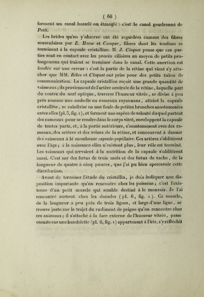 forment un canal bosselé ou étranglé : c’est Je canal goudronné de Petit. Les brides qu’on y observe ont été regardées comme des fibres musculaires par E. Home et Camper, fibres dont les tendons se terminent à la capsule cristalline. M, J. Cloquet pense que ces par- ties sont en contact avec les procès ciliaires au moyen de petits pro- longemens qui iraient se terminer dans le canal. Cette assertion est fondée sur une erreur : c’est la partie de la rétine qui vient s’y atta- cher que MM. Rites et Cloquet ont prise pour des petits tubes de communication. La capsule cristalline reçoit une grande quantité de vaisseaux ; ils proviennent de l’artère centrale de la rétine, laquelle part du centre du nerf optique, traverse l’humeur vitrée, se divise à peu près comme une ombelle en rameaux rayonnans , atteint la capsule cristalline , se subdivise en une foule de petites branches anastomosées entre elles (pl.3, fig. i ), et forment une espèce de velouté duquel partent des rameaux pour se rendre dans le corps vitré, enveloppent la capsule de toutes parts, et, à la partie antérieure, s’anastomo.sent avec des ra- meaux, des artères et des veines de la rétine, et concourent à donner des vaisseaux à la' membrane capsulo-pupillaire. Ces artères s’oblitèrent avec l’âge ; à la naissance elles n’existent plus , leur rôle est terminé. Les vaisseaux qui servaient à la nutrition de la ca})sule s’oblitèrent aussi. C’est sur des fœtus de trois mois et des fœtus de vache, de la longueur de quatre à cinq pouces , que j’ai pu bien apercevoir cette distribution. Avant de terminer l’étude du cristallin, je dois indiquer une dis- position importante qu’on rencontre chez les poissons ; c’est l’exis- tence d’un petit muscle qui semble destiné à le mouvoir. Je l’ai rencontré surtout chez les dorades ( pl. 6, fig. i ). Ce muscle, de la longueur à peu près de trois lignes, et large d’une ligne, se trouve juste sur le trajet du rudiment de peigne qu’on rencontre chez ces animaux; il s’attache à la face externe de l’humeur vitrée, passe ensuite sur une bandelette f pl. 6, fig. i ) appartenant à l’iris, s’y réfléchit