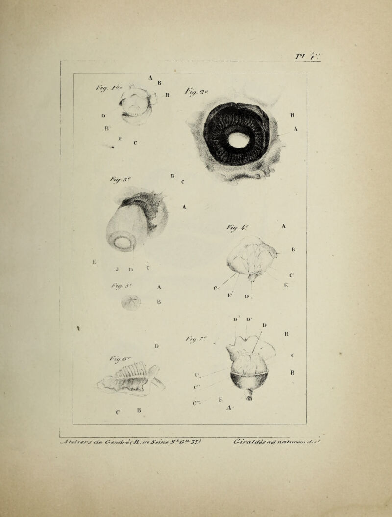 i R.cieSetJie^ acd nziitizxt//f^ Lr , IK* * •‘'1?