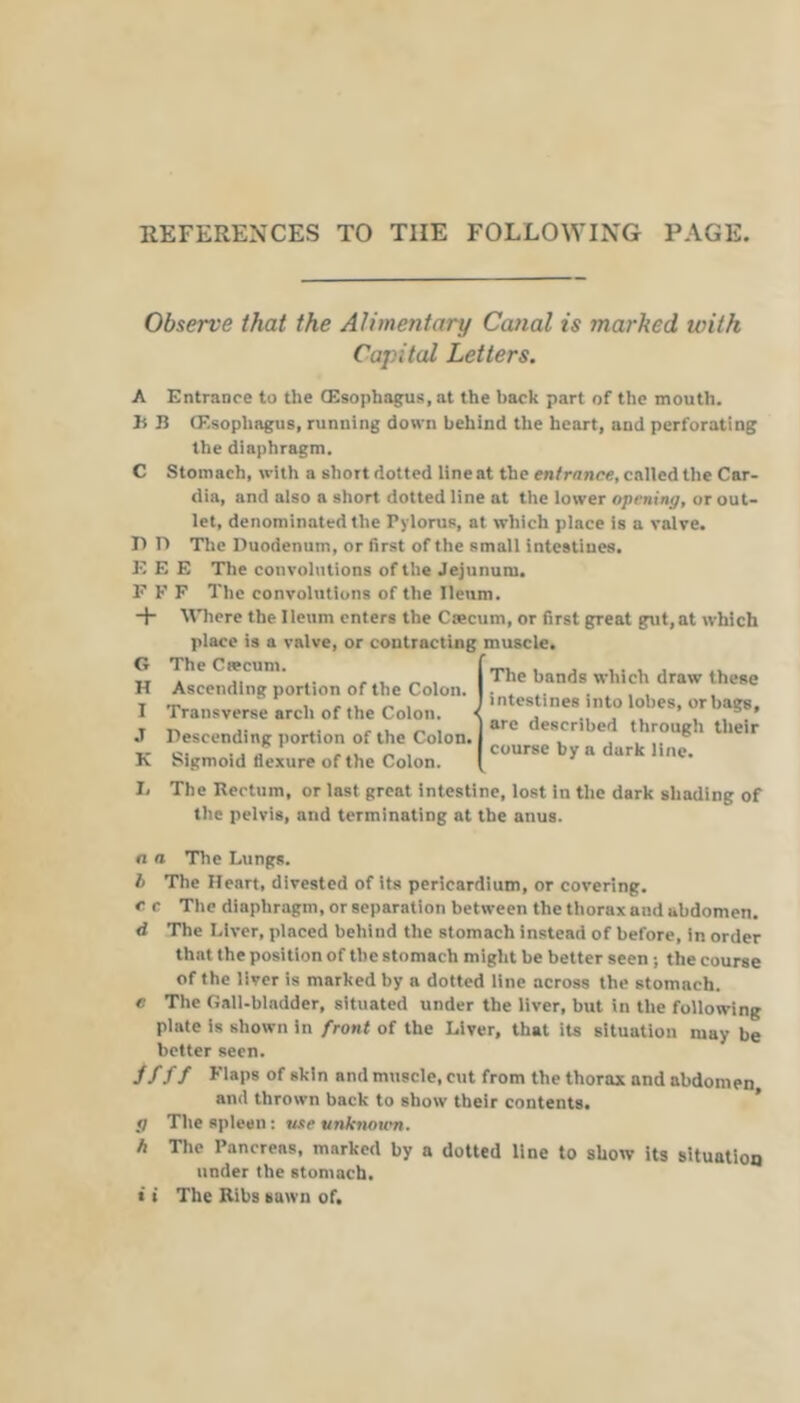 a fl REFERENCES TO THE FOLLOWING PAGE. Observe that the Alimentary Canal is marked with Capital Letters. A Entrance to the CEsopbagus, at the hack part of the mouth. li B Q^.sophagus, running down behind the heart, and perforating the diaphragm. C Stomach, with a short dotted line at the entrance, called the Car- dia, and also a short dotted line at the lower opening, or out- let, denominated the Pylorus, at which place is a valve. E E E The convolutions of the Jejunum. F K F The convolutions of the Ileum. + I J K I, Where the Ileum enters the Caecum, or first great gut,at which place is a valve, or contracting muscle. The Ciecum. Ascending portion of the Colon. Transverse arch of the Colon. Descending portion of the Colon. Sigmoid flexure of the Colon. The Rectum, or last great intestine, lost in the dark shading of the pelvis, and terminating at the anus. The bands which draw these intestines into lobes, or bags, are described through their course by a dark line. n a Tlie Lungs. b The Heart, divested of its pericardium, or covering, c c The diaphragm, or separation between the thorax and abdomen. d The Liver, placed behind the stomach instead of before, in order that the position of the stomach might be better seen; the course of the liver is marked by a dotted line across the stomach. e The Gall-bladder, situated under the liver, but in the following plate is shown in front of the Liver, that ite situation may be better seen. //// ^'laps of skin and muscle, cut from the thorax and abdomen and thrown back to show their contents. ' g The spleen: use unknoum. ft The Pancreas, marked by a dotted line to show its situation under the stomach, t i The Ribs sawn of.