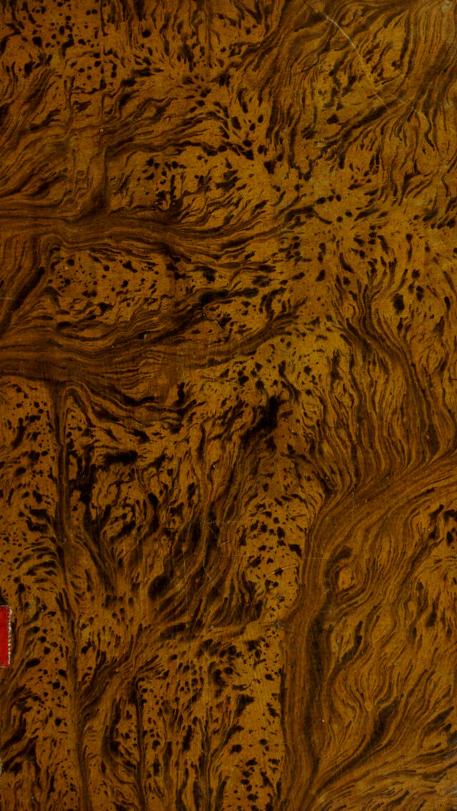 digitised image 1