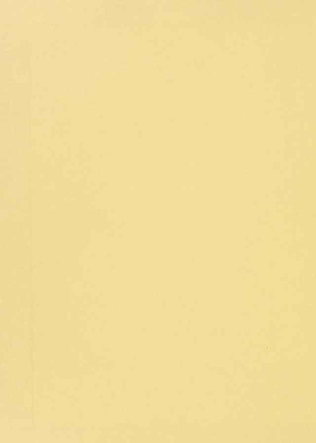 digitised image 2