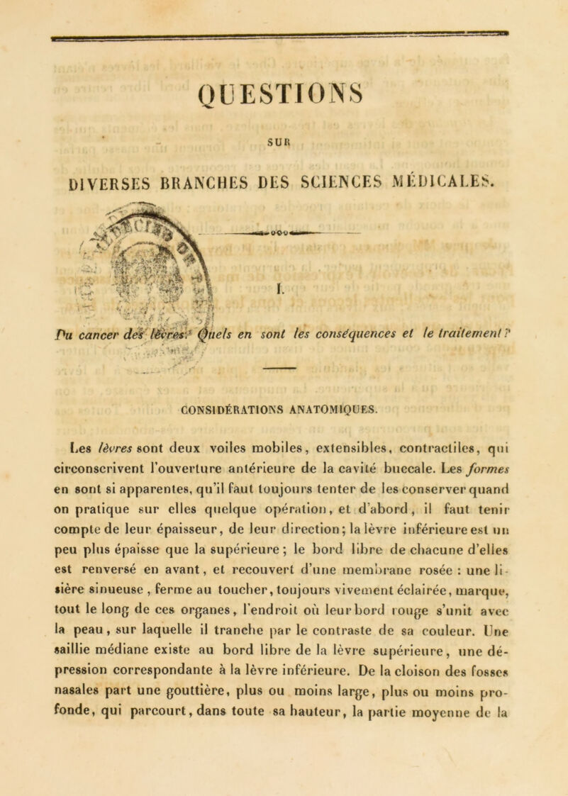 QUESTIONS SUR DIVERSES BRANCHES DES SCIENCES MÉDICALES. CONSIDÉRATIONS ANATOMIQUES. Les lèvres sont deux voiles mobiles, extensibles, contractiles, qui circonscrivent l’ouverture antérieure de la cavité buccale. Les formes en sont si apparentes, qu’il faut toujours tenter de les conserver quand on pratique sur elles quelque opération, et d’abord, il faut tenir compte de leur épaisseur, de leur direction ; la lèvre inférieure est un peu plus épaisse que la supérieure; le bord libre de chacune d’elles est renversé en avant, et recouvert d’une membrane rosée : une li- sière sinueuse , ferme au toucher, toujours vivement éclairée, marque, tout le long de ces organes, l’endroit où leur bord rouge s’unit avec la peau, sur laquelle il tranche par le contraste de sa couleur. Une saillie médiane existe au bord libre de la lèvre supérieure, une dé- pression correspondante à la lèvre inférieure. De la cloison des fosses nasales part une gouttière, plus ou moins large, plus ou moins pro- fonde, qui parcourt, dans toute sa hauteur, la partie moyenne de la