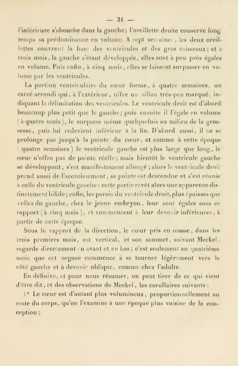 l’inférieure s’abouche clans la gauche; l’oreillette droite conserve long temps sa prédominance en volume. À sept semaine-, les deux oreil- lettes couvrent la base des ventricules et des gros vaisseaux ; et à trois mois, la gauche s’étant développée, elles sont à peu près égales en volume. Puis enfin , à cinq mois, elles se laissent surpasser en vo- lume par les ventricules. La portion ventriculaire du cœur forme, à quatre semaines, un carré arrondi qui, à l’extérieur, offre un sillon très-peu marqué, in- diquant la délimitation des ventricules. Le ventricule droit est d’abord beaucoup plus petit que le gauche; puis ensuite il l’égale en volume (à quatre mois), le surpasse même quelquefois au milieu de la gros- sesse, puis lui redevient inférieur à la lin. D’abord aussi, il ne se prolonge pas jusqu’à la pointe du cœur, et comme à cette époque quatre semaines ) le ventricule gauche est plus large que long, le cœur n’offre pas de pointe réelle; mais bientôt le ventricule gauche se développant, s’est manifestement allongé ; alors le ventricule droit prend aussi de l’accroissement, sa pointe est descendue et s’est réunie à celle du ventricule gauche : cette partie revêt alors une apparence dis- tinctement bifide ; enfin, les parois du ventricule droit, plus épaisses que celles du gauche, chez le jeune embryon, leur sont égales sous ce rapport (à cinq mois), rt commencent à leur devenir inférieures, à partir de celte époque. Sous le rapport de la direction, le cœur pris en masse, dans les trois premiers mois, est vertical, et son sommet, suivant Meckel. regarde directement < n avant et en bas; c’est seulement au quatrième mois que cet organe commence à se tourner légèrement vers le côté gauche et à devenir oblique, comme chez l’adulte. En définive, et pour nous résumer, on peut tirer de ce qui vient d’être dit, et. des observations de Meckel, les corollaires suivants : 1° Le cœur est d’autant plus volumineux, proportionnellement au reste du corps, qu’on l’examine à une époque plus voisine de la con- ception ;