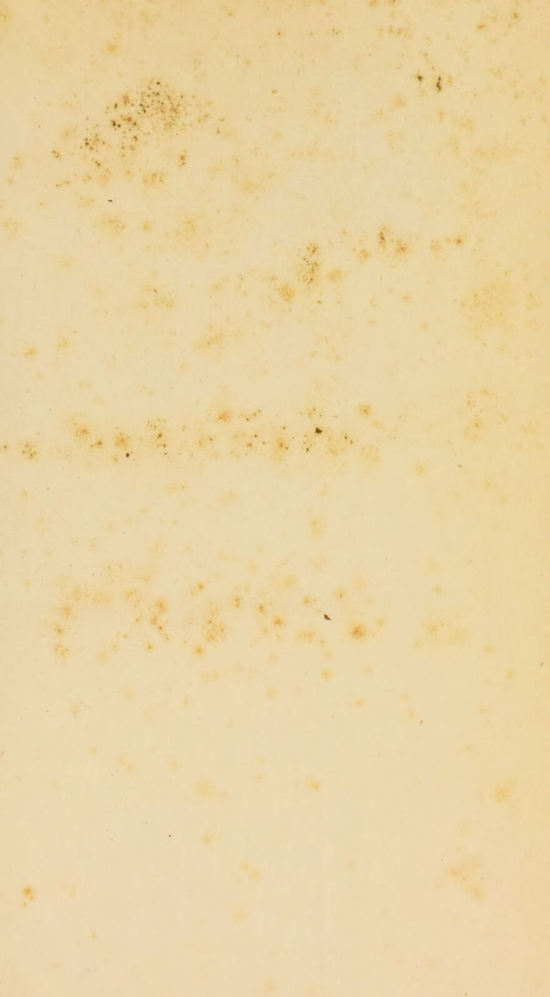 •« > :■%*: t • * • V : v •V* V i*, fi i» * i +■ * •> •v ' ♦ 3 t t 41