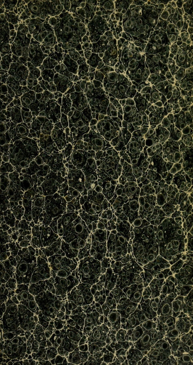 digitised image 3
