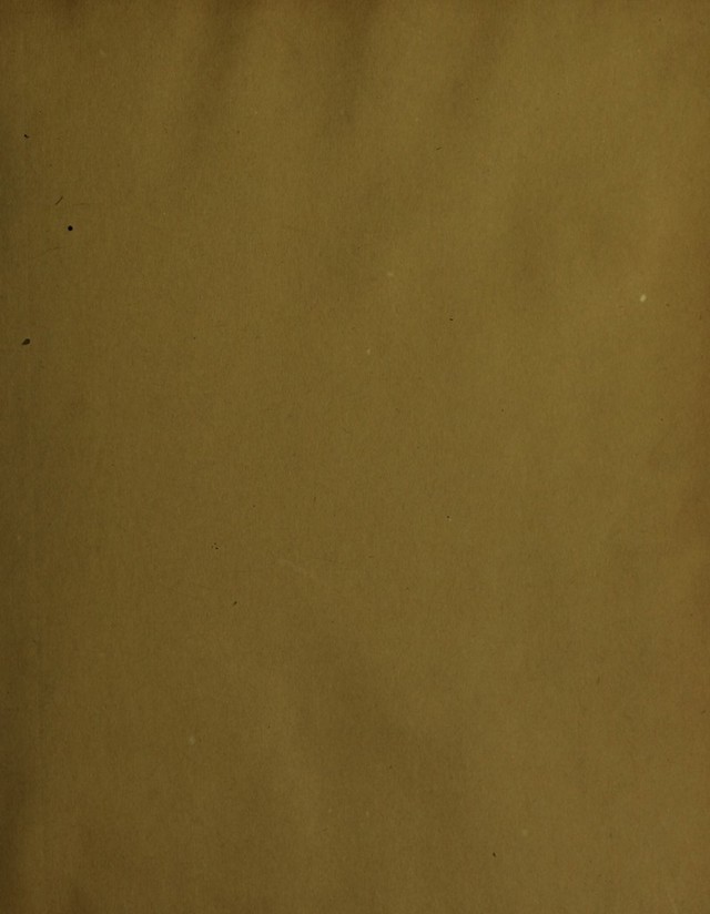 digitised image 3