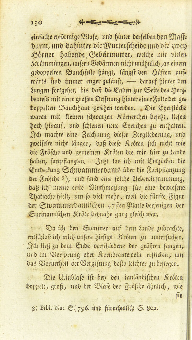 150 dnffld)C Q5(afe, unb ^infec berfelBcnben^afls t)arm/ Uni) ba^intcr btciOhitteifcbelbeunblDrc jroei; .^6rnei’ ^a5ent>e^0eb4rnuittcv, tt)e(d)e mit vieler» ^I’ummimgcn, unfern ©«barmen ntd)t unobnlid; ,an einem gehoppelten S3and)fede ^angf, (dngfl ben v^uften ouf- rcdrfö unb immer enger julduft^ — barauf hinter ben iungen fortgehet; 'biö Da§ bie^'nben jur 0eife bcö ^er beutefö mit einer großen Deffnung hinter einer 5‘fliteöer 9^- hoppelten ^auchhmit gefehen merben. , 2)ie <£perfidcfe waren mit fleinen fchwai'jen ^ornerchen befcht, liefen hod) ht^öiif, imb fd;ienen neue Q:percr)en ^u emholten. 3d) mad}fe eine i^tefer wnb gweifelte nid)t langer, ba^ biefe Broten fid) nid)t wie hie 5rofd)c unb gemeinen Kröten bie wir 1;»^^^ i^mbc , haben, fortpflanjten. *^) r^^if ^d^iafen bie €ntbecfung 0d)n)Cimmert)aniö über bie Fortpflanzung her Fr6rd)e 3)^ unb fnnb eine fold)« llebereinfiimmung, bap id)' meine erjre iOcuthma^img für eine bewiefene ^hötföd)e hielt/ um fo oiel mehr, weil bie fünfte Figur her 0it)ammevbamifd)eii 47i^eu 5^latfe berjenigen ber .0utinamifd)en ^'idte beinahe ganj gleid) war. ^a id) ben 0ommer auf bem ianbe 5i!brad)te, enffd}lof? id) mid) unfere hieftge i\r6fen 511 unfcrfud)en. 3d) lie^ 311 bem ^nbe t>crfd)icbene ber grdf’ten fangen, unb im iöorfprung ober ^'ornbranfewein erfiiefen, um baö ^oriu'theil öerOJergiftung tejb leid)fcr jubefiegen. ^ic Urinblafe ifi bei; ben innlanbifdjeu Broten | hoppelt, gro^, unb ber S!5lofe ber F^'^'K^)^ dhnltcf), wie f f‘e f! fl