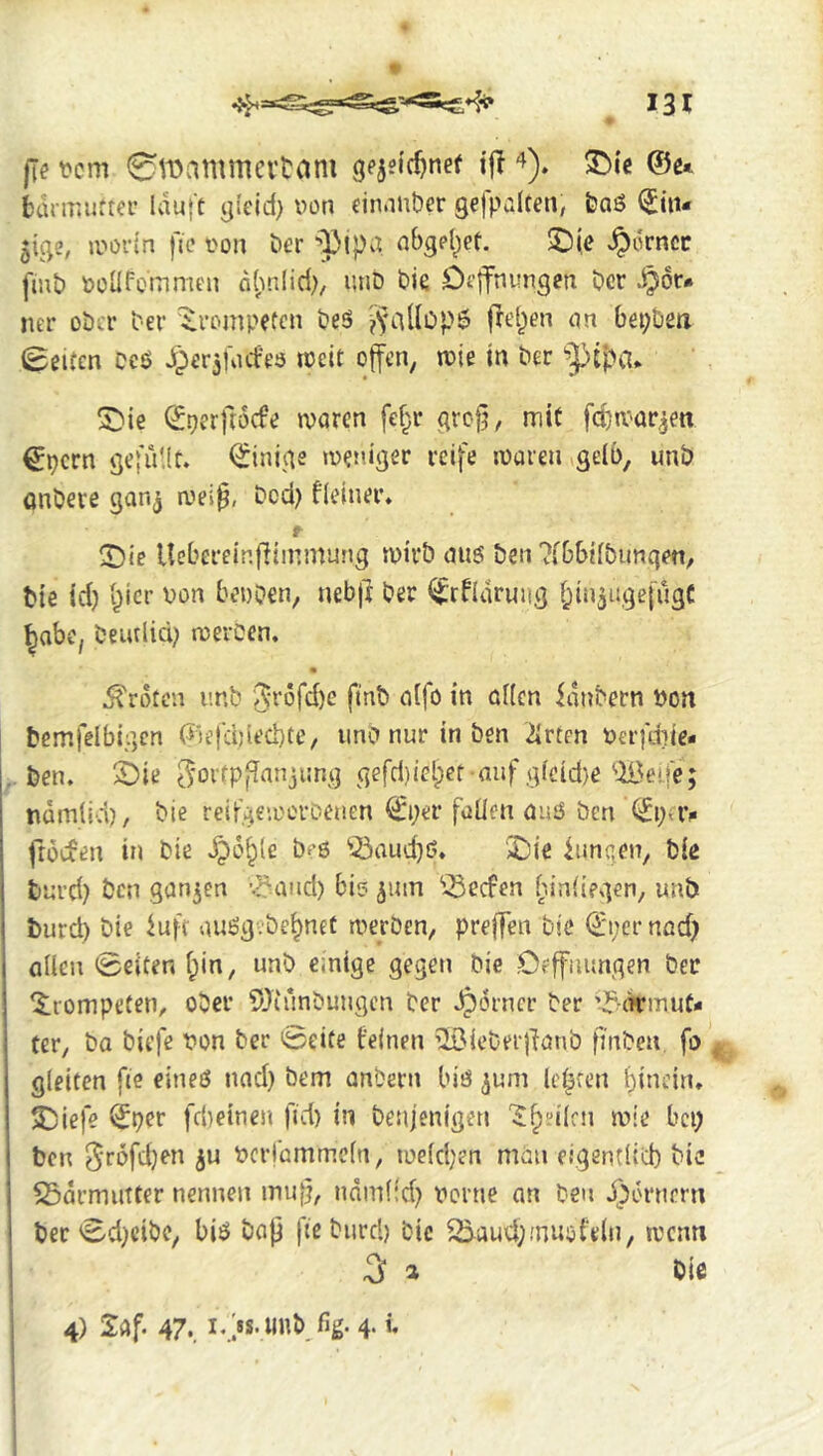 fcurmuttei- lauft yield) won einander yefpalten, &aö ^iit- 5ige, jworin fic won ber abyeljct. 5Dl.e .^drncc fiub woilfoinmen a()nlid)/ lUiD Die Oejfnunyen bcr .^6r. ner oba* ber 'trompeten beS (leiden an bepDen (Seifen ceö Jperjfvufes tceit offen, wie in ber ptpa* !J?ie (^oerftoefe waren fcf^r yrcfj, mit fdjwarjett €t)crn yefiV.lt. ^iniye weniger reife waren gelb, unb anbeve gan^ wei^, bed) fleiner* t 'Die Ucbereinfliinmung wirb auö ben ?fbbilbunq(?n, bie id) i^icr won benben, nebjt ber ^rfldruug i^in^ügefügC ^abe, beutlid) werben, Broten unb '3^öfd)e ftnb aifo in allen ianbern bon bemfelbigen (Siefdilecbtc, iino nur in ben 2irten Werfd}ie- ben. 2)ie ^'ortpflanjimg gefd)iebef auf glcid)e'•iBei.fe; ndmlid), bie reifgeiocrbeuen ^per fallen auö ben (^i)ti> frocüen in bie ,^d^lß bf*0 ^^aud)ß. Die lunqen, bie turd) ben ganzen ’.daud) bie jutn “iSeefen binltegcn, unb burd) bie iuft auögvbe^nef werben, prejfen bie €i;crnod) allen Seiten l;in, unb einige gegen bie Ceffiumgen her trompeten, ober ^Jtunbungen ber ,^drncr ber '^^-eVrmut- ter, ba biefe won ber Seite feinen ©ieberllanb fj'nbeu fo ^ gleiten fie eineö nad) bem anbern biö ^um lehren f)indru Diefe (Jper fd)einen fid) in benjenigen '^l^dlrn wie bei) ben 0röfd)en wcvrammcln, we(d;en mau eigentlid) bie SSdrmiitter nennen mu^, ndmlid) worne an ben J)6rnmi ber Sd)cibc, biö bap fteburd) bie 2>aud)muofeln, wenn 3 a bie 4) Saf. 47.. w«b fig- 4- '• ! i