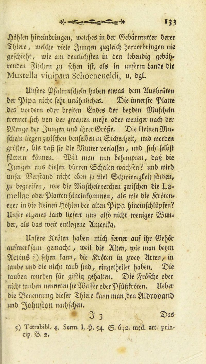 »33 Jinsin&rin^eti/ n)e[cf;c6 in bcr ^ebarmuffcr berer 5;^(ere, n)e(d)e t)ielß jugfeic^ ^eroorbi-ingen nie gefd)ic^r, mie am beutIid}|Ten in bm lebenbig gebd^- renben 5i!'d)<?n ju fe§en ilf, (il6 in unferm ionbe bie Mustella viuipara Schoeiieueldi, m, bgi. ?■ Unfere ^fafmnfd)ein fiaben cfwaö bem Ttugbrufen bei' ^ipa nid}t fc&i- und§niid)eö* 3!)ie innerjie bcs i'>oibern ober breiten ^nbeö ber bepben $0^ufcbe(n ^rcnnet jlt^ üon ber jtoepfen mc^r ober meniger nad) ber S)tcngc ber ufiö i§rer@rd^e» 35ie kleinen iÜZu* fd;e/n liegen jmifeben benfefben in ©icber^eif, unb merben großer, bis baf |ie bie 5)iuftet oerlaffen, unb fid) felbjt futtern fdnnen. ^5>iÜ man nun behaupten, bag bic J^ungen auö biefen burren @d)a(en njaebfen? unb mirb unfer QÜerjlanb nid)t eben fo oicl @d}ivierig^eit fhiben, ju begreifen, mie bie C9?ufd;eiet;erc^en ^mifd^en bic La- mellae ober 9^foffen ^ineinfpmmen, at$ n)(c bie Kröten* €i;er in bie fleinen^^oblenber aiten^lpa ^ineittfd)iupfen? Unfer eigenee knb liefert unß aifo nid}t meniger ?Ö3un» ber, olö bQ6 meit entlegene 2(merifa» Unfere Broten ^aben mich ferner ouf i§r ©e^ör aufmerffam gemad}t, meii bie 2(itcn, mk man bepm ^Ctiu^ 5) fe^en fann, bie ^'rdten in jmep Wirten,'in taube unb bie nirpt taub finb, einget§eiiet ^aben. 2)ic tauben mürben für giftig gef^alten, ®ie 3'rpfc^e ober Hid)t tauben nenneten fte 'üßaffcr ober ^fu^frdten* Ueber bie Benennung biefer ‘If^iere fann man ,ben 5llt)V0Pant> unb 3ot)nfton nad^fe^eiu ♦ 3 3 5) Tetrabibi. 4. Serm. I. .p, 54. 0. 6^2. med. art. prin.- dp. Ä,