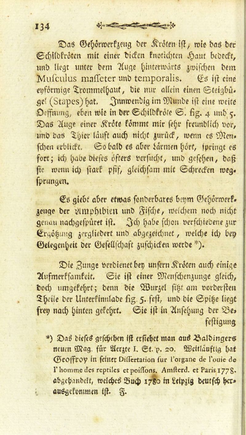 ©e^omerficug ^^r ^lofcn ifl, mtc &aö b^c 0c^ii(bfr3ten mit dnei* bicfcn fnofid)ten ^aut bcbccft, imb liegt untet bem Tliige f^intenvartö 5it)ifd)en bem Mufculus mnlTeter unb temporalis. iji eine eiförmige ^rommel^mif, bie nur öKein einen ©teigbü* 5cl (Stapes) ^at. ^'^nifcnbig im 9}lunbe i(I eine weite C^effnung^ eben rbie in bn* 0cbi(bfrbfe ©. fig. 4 unb’5. 5Daö ^uge einer .^r6te fommt mir fel;r freunblid) vor, linb böö '^.i^ier lauft auch nidjt ^urucF, wenn c$ ^Ö^cn* fd)en erblicft, ©0 bölb e3 aber idrmen ^orf, fpringt es fort; id) l;abe Diefeö efterö i’crfud)f, unb gcfef;en, ba^ fte wenn id) ftarf pjif, gleid)fam mit ©d)recfen weg. fprungen. | I giebt aber cfwaß fcnberbarcö bepm ©ejdrwerf- jeuqc ber VlUipblbi^ll «nb [$ifd)c, weld)em noch nicht genau nQd)gefpüret ifl. (Jd) habe fd)on verfd)tebcne^ur (^rgö^ung jcrgliebert unb obge^efd)net, welche id) bep ©clcgenheit ber ©efellfchaft jufi^icfcn werbe *). < i » 3Me verbleuet bep unfern Broten auch einige | Tiufmerffamfeit, ©ie einer 9}?enfd)cn3unge gleidh, i boch umgefehrt; benn bie 5öurjel fi|f am vorbetfleri ^heiie ber Unterfinnlabe fig. 5. feff, unb bie ©pi|e liegt frep nach hinten gefehrt. ©ic i)l in ^nfehung ber ^c» fejiigung \ \ *) 2)aö biefe^ gefchehen ifl ccfiehet ntan ou^ ^albingcrff i neuen SD?ag. für Siebte I. 0t. p. 20. 9Bcitlduftig hat | ©eoffroy in feiner DiiTcrtation für Toigane de Touie de ( r bomme des reptiles etpoiffons. Amfterd. et Paris 1778. ^ ahgchanbelt, weichet SueJ) i7lb in Seipjig beutfeh \ i au^efommen i{l. §.