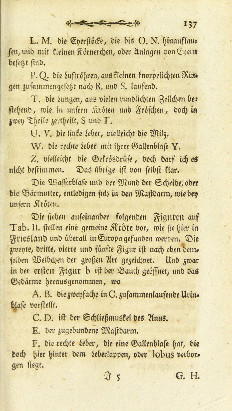 L. M. t>ie ^tjerjlocfe, &ie 6iö O. N. f^innuflnu« fcn^unb mit f»einen ,^6rnerc^en/ obeu ^nlo^cn nondnern befc^t finD. P. Q. bic iuftr6[n‘cn, nuö ffeinen.fnorpeiid^tcn Dvitü- gen jufommengcfc^t nud) R. unD S. laufenb. T. bie iungcn, auö fielen runblicbten 3fdd)en heit fle^enb, xoie in unfern Kröten unb bod? in imi) '$:0ciie ^eit^unlt, S unb T. U. V. bie (infe ieber, »ieöeid)f bie tDZifj. W. bie rechte iebcr mit i^rer ©nnenbiafc Y. Z. bieiicicht bie ©efroSbrufe, bod) bnrf ich nid)f befrimmen. SDaß übrige ip t»on fetbft flar. ^)ic ^'ojferbiafe unb bcv ?!)^unb bcr 0d)eibe/Obec bie ^drmutter, entlebigen fid) in bcn !0ta|lbarm, miebe^ unfern Broten» ®ie fieben nufeinanber folgcnben Tab. 11. peilen eine gemeine bor, mie fie hier in gvieelanb unb überati in Europa gefunben merben. ©ie ^n)epfe, briftc, nierte unb fünfte ^igur ip nad) eben l)em* felben 'ißeibdjen ber großen 'Ktt ge^eichnef. Unb jmar in ber ccpcu J^tguc b ip bet ?iJaud) geöffnet, unb baö ©ebdrme hernuögenommen, too A. B. bie^mepfache inC, jufommeniaufenbeUrin* bjofe PorPellf. C. D. ip ber ©chlie^musfei beö ?(nuö. E. ber jugebunbcne SHapbarm. F. bie rechte ieber, bic eine ©ottenblafe {^at, bie boch hinter bem iebec-appcn, ober lobus verhör* gen lieaf. 0 5 G. H.