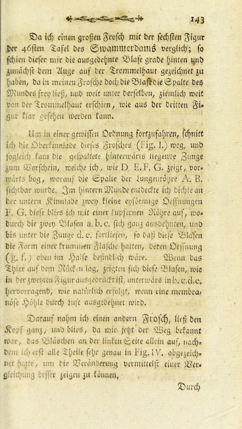 I S)a id) cinsn grofjen 5rt»fd) niif t)fr fed)|Ien ^cr 46|len “^afel öes 01DaninKl’t)flmÖ tjer^lid); fo fd)i'ei) öUfef mir bie außjjfbe^nte ^iMofe grabe feinten lint) ^inidd)jt bem ‘^uge auf ber '^rommel^aut gejeid)net ()aben, bain meinen 5rofd)e bocf;bie^!a(^bic0pn(te be$ SDiunbeö frei; licj;,. laib ineit unter berfelben, jiemlid) weit ton ber'^romniel^aut erfebirn, ttie auö ber britten S'i« gur fiar gefe^en suerben fann* Um in einer gerDtjTen Orbnung forf^nfa^ren, fc^niüt id) bie Obeifinniabe biej^ö ^rüid)ejj (Fig. J.) tteg, nnb fi\g!eid} funi bie gefpalfere ipintenudrrö Uegenöe 5um Q?orfcl)eirt, rceicbe id) / wie D E.F. G. seigt, uor» rodrfS 60g, iteraiif bie ©pahe ber iungewr6;;i’e A. B. ; fid)tbar n)urbe. (;inferniiriur;beeru‘bt'cfie i’d) bid)teau ber unrern ivinniabe ^»vci; Beine ej;föcrnige Deffnungeii F. G. biefe id) mit einer fupferuen iKi5i;re auf/sro- burd) bie ^roet; ^Mafen a.b.c. fid; gauj aiisbeljnten, iinD biö unter bie d. c. fodliefeii/ fo ba|j bitfe ^5lufcn bie .lorm einer fruminen 5!iJ;d)c hatten/ Deren Oeffnung (g. 1.; eben iin J^aifc bepnbhd) »tdre. ^lenn ba5 *$:^icr auf-bem Sbdd'.n iag, jeigteu fid) biefe 'Olafen, mic in ber^iteprcn/Viguraueigv’örücfrifi/ unreni\ir6 inb. c.d.c% ^ert-orrngenb, itie naturlid) erfolgt, a'cnn eine membra» tiüfe v§i6l;Ie burd) iiifc auegsbe^iiet lüirb. 2)arauf nat;m id) einen anbern fVt'Ofc^, b’ef beri .^opf gan^, iinb blieö, ba mir je^f ber ©eg befannC mar, bus ^-Zjlüsd)en an ber linben^cite adein auf, nad)» bem id) erfr alle '-^i;cile fel;r genau in Big. 1V. abgejeict). m-t barte, um bie SFcrdnOerung tenT]iltcl}c einer )Ucr» gieid;iing btiyer geigen tonnen, :^)urd;