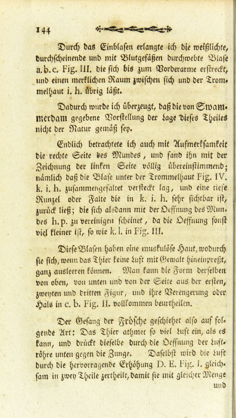 5)urcf) baö ^inbfcifcri erlangte tc^ bie roclfjllc^fe/ , burd)fd)einenbc unb nnt ^-Ölutgefdpen burcbmebte Q>(Qje | a.b.c. Fig. III. bieftcf) biö ^um OSorberornie erfrrecft, [ unb einen merflid)cn Dvaum jroifc^en fic^ unb ber 5rom* | melf;aut i. h. ilbrig lo^t. 5Daburd) rourbe tc^ überzeugt, bag bie bon 0n)attt* ITiCrbrtnt gegebene 25orflef(img ber iage Dieffö X^eile^ nid}f ber SRatur gemdg fep. ^nb(id) betrad)fefe ic^ auc^ mit ^ufmerffamfctC j blc-rcd)te 0cite feeö ?D?unbe6, unb fanb ibn mit bee f 3eicbnung ber linfen Seite vcüig übeteinflimmetib; ! ndmlid) bag bie ^iafe unter ber ^rommelbaut Fig. IV. 1 k. i. h. jujdmmengefaltet bergeeft fag, unb cine tiefe ! Svunjef ober ^olte bie in k. i. h. fc§r gdjrbar ig, < jimii lieg; bie fid) alsbann mit berOegnung beö9)tint. | beß h.p. 311 bereinigen rd)einef, bo bie Degnung fong | bief ffeiner ig, fo ibie k 1. in Fig. lU. | I i SMcfe'iBfafen ^aben cine mußfufofe Jpanf, woburc^ i fie gd), menu baß '^(;ier feine luft mit ©ctnaft ^ineinpregt, j gan^ außfeeren fonnen, ?!}?an faun bie 5'orm bcrfelben [ bon oben, bon unten unb bon ber Seite auß. ber eigen, \ jibeptcn unb britfen fvigur, inib i^re QSerengerung ober j Jpalß in c. b. Fig. 11. boUfommen beurtheifen. j ^er (^efang ber grbfdje gefd)ie^ec aifo auf fof* ! genbe '2frt: 5^aß ‘Jfpier atf^mst fb bief iuft ein, alß eß [ fann, unb brueft biefelbe burd) bie .Cegnung ber luff* j rd^re unfen gegen bie 2)afelbg mirb bie luft 1 burd) bie ^erborragenbe (Jr^d^ung D. E. Fig. 1. glcid). p fam in ^tbei)‘l.^eile 3ert§ei(t,bamit fte mit gleid;er ü?ienge 1 unb