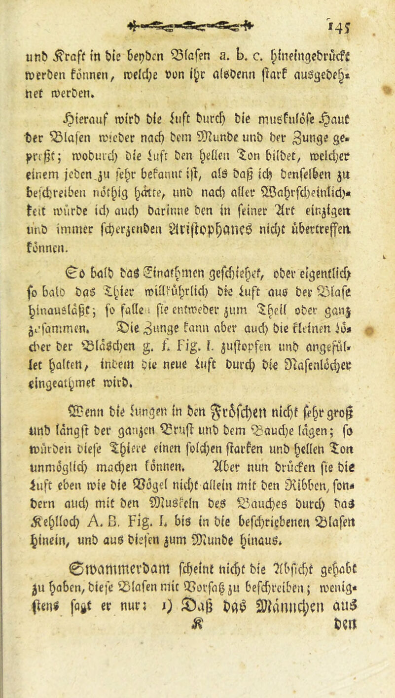 14J II^rcff m Me bepöcn 25faren a. b. c. ^(neln^ebrucff njeröen fonncn, rr)eld;e »t>n i'§c a($0cnn jlaif au%ct»e§fi tict n)erDen. .^jernuf mirb tiie iiift t»urc^ t)i'c muefufofc ^auC ter Olafen itMtöcr nacf) bcm 5)]unbe unb bfü ge« moburd) bie iufr ben tpeüen '^on bilbeC, mddjcc einem jebcnju befannti}!, aiö ba^ id? benfelben ju bej'djreibea not^jg t;atre, unb nad) QÜet ^uf^rfd^intid)« tcit an'irbc id) aud) barinne bcn in feinet 'iirC einzigen imb immer fcber^cnbeu ^2(vi(iopr;ancÖ nid}t ubertrejfea fennen. ^b bnib bö^ ■Sindtbnicn gcfd){efief, ober eigentlicf) fo balo bö5 X§ier midfü!>rlid) bk iuft aus ber Q3iüfe ^InausId^C') fo fade i fie entmeber ^um “^bed ober gunj gi’fnnimen, 5)ic ^nnge fann aber aud) bie fldnen id* d'^er ber ^5Id^d)cn g. i. Fig. I. ^ujTopfen unb angefüF let ^altert/ intern bie neue iuft burd) trie D^afenlodjec eingeat^met rcirb, ©cnn bie Zungen in bett ^r6fcl)^tt nic^f fe^rgro^ unb Idngfr ber ganzen ^rujl unb bem ^aud)e (dgen; fo tnurben tiefe ^§iere einen foid;en flarfen unb f;ei(en ^ott unmdglid) möd)eii fdnnen, Tibev nun bruefen fte bie iufc eben ade bie QSogel nid)f üllein mit ben 9vibbcn,fon* trern oud) mit ben fD^usfcIn beö S5aud}eö burd) ba3 Äe^llocb A. ß, Fig. F bis in bie befd}ricbenen Olafen hinein, unb aus biefen jum SDiunbe ^inöus* ©rtdmiTtCVbant febeint niebt bie 'Jibfidjt gebabc baben, biefe Olafen mit QSorfab ju befdjrciben; aenig- (len« fagt er nur: i) 3?iai]ncl;ai
