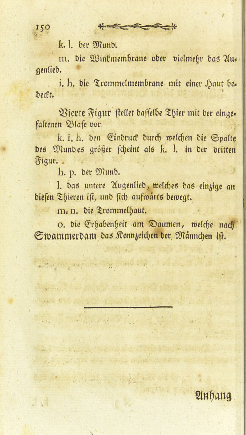 k. 1. bff tOTunbk m. bie ^[ßinfmcmbi’önß ober biefme^r boö 7(us gcnlleb, * . i. h. biß 5;i'oiTimeJmem6rane mit einer ^nut be» becff» ^Sicrtc jieüet ba(]*e(be “^i^ier mit ber einge* faftenen 53(afe bor k. i* h. ben ^inbrucf burc^ mefdjen bie ©paffe beö SDZunbeö großer fcbeinf a(ö k. 1, in ber britten '^'igur. * h. p. ber COtunb, l. baö untere Tfugenfieb, tbefd)eö bo6 einzige on biefen '^biercn ijl, unb fid) aufibdrtö beivegf. m« n. bie ^rommelbouf. o. bie ^r^abenbeit am ^Daumen, ibefd;e tiacfjf ©IDamnurbam baß ^ennjeicbeti ber S<)?dnnd)en ifr. SlB^ana