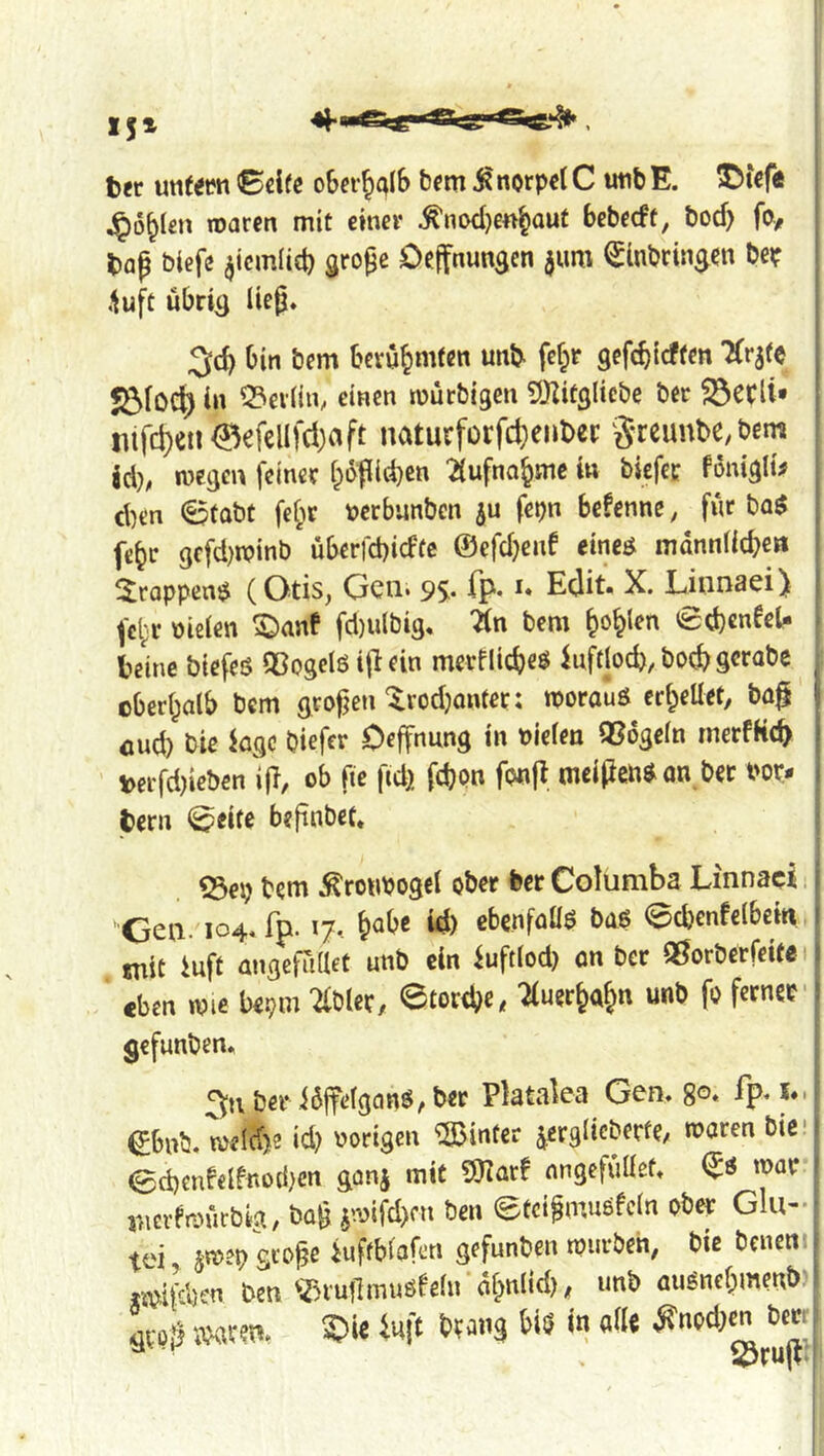 151 , ttt unfet?« o6ef§aIf> i? norpel C utib E. J^ö^Ien waten mit einer ^nod)en^aut bebecft, bocf> fO/ tflp biefe ^icmlid) gro^c Oeffnungcn jum ^inbrin^en bep ! .^uft ubri^ lieg. I I 3ic^ bin bem berühmten un^ fef^r gefebieffen TCrjte 1 föfoc^ in ^evün, einen murbigen SKitglicbe ber 23ecli» i iiifd)en0efcllfd)aft naturforfcbenbec greunbe.bcm jd), luegen feiner boflid}en 2iufnabmc iw biefet fönigli^ ^ eben ^fobt fe^r pcrbunben fepn befenne, für ba$ | febr gffd)n?inb überfd)icffc ©cfdjcnf em$ mdnnfid^eii ^^roppen$ (Otis, Gcti. 95;. fp. i. Edit. X. Liiinaei) i fcl'r nieien 5:)ane fd)u(bi3. Zn bem 0d)cneeU 1 beinc biefeß QSogclö ig ein merfliebet kftlod), bO(^gcrabe ' oberhalb bem grogen Xrodjonter: rporauö erbeUet, ba§ | flud) bic Jage Oiefer Oeffnung in Pielen QSogeln tnerfKc^ j t>erfd)ieben ig, ob fte fidj» fegon fonft, meigen^ an bec Pop- | (bern 0eife begnbef. 1 53ep bem ^ronpogel ober feer Columba Linnacl i j Geu. 104. fp. 17., b<^be id) ebcnfoüö baß 0d)enfe(bem 1 mit iuft angefudet unb ein iuftlod) on ber ^orberfeite 11 eben wie beom 2fbler, ©tortbe. Tiuerbabn unb fo ferner-j gefunben. ber idffelganß^ ber Platalca Gen. go, fp, x.if ^bnb. weld>2 id) vorigen hinter jerglicberfe/ waren bici ©d)enf«lfnod)cn gonj mit SJior! nngefüllef. (Jß war j iiicrfraücbM, 6a§ »cn ©ecigmusfcln ober Glu- tei srost) s«ge iuffblafcn gefunten rouvöth, 6ie bciicttit ,»i|>lsen »m ®tunm«sfe(irfl&nlid), tmb auSncfjmmi)'‘ gtalj '.WTO. a?ie iuft bfang bis '« all« i?no*tn bm: