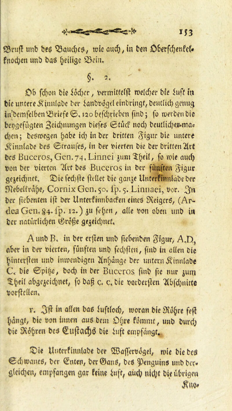 ^ru|T unb bc$ ^aud)c^, roic oucfj, in ben Oberfc^enfef# fnod)en unb baö ^eilige 23c{iu §♦ 2, Ob fd)on bie i6d)cr, vermltfeif! n)eld)er bie iuff m tie untere ^innlabc ber ^aubnogeleinbringf^beucnd^genuj} in^bemfelben 'Briefe no befdjrieben finb; fo werben bie be^gefugten 3cid)nungen biefc^ 0tud nod) beutlid)ef*ma= cl)en; bcSwcgen ^abe id) inbcr britten Sisne bie untere ^inniflbc beö ©rroufeä, in ber t)ierfen bie bcr britten 2(r( tcö Buceros, Gen.74,Lmnei 3um'5:^eU, fo wie auc^ von bee vierten Tfvt bes Buceros in bcr fünften gej<id)nft, SlDie fcd)fic flellet bie gan^e Unterfinniabe bee ,^ebe(fraf)e/ CornixGen*50t fp. 5. Linnaei, Voc. ter (lebentcn i|l bcr Unterfinnbaefen eines Sf^eigerS, (Ar- deaGen, g4‘ rp* 12.) ju fe^en, alle Von oben unb in ter natürlichen (Sroj^e 9e5eid)nef. A unb B, in ber erjlen unb ftebenben ^igur, A.D^^ (iBet in ber vierten, fünften unb fed)|ien, finb in eilen bie hinterjTen unb imvenbigen ^nfnnge ber untern ^innlabe C\ bie 0pi|G, bod) in bcr Buccros finb fie nur ^um ^hdl abge3eid)net, fo bap c. c, bie vorberpen ■ilbfd)nirfe Vorflcllen, r. ^uftlo^, woran bie 9i%e fefl hdngf, bie von innen aus beni Olpre fommt, unb burd) tic 9iöh*^en tes bie iuft empfangt^ ^ie Ui»fevfinnlQbe ber ^Bajpervdgel, wie bie beS 0d) wanes, ber ^nten, ber®anS, bes 9)enguins unb be?, gleichen, empfangen gar feine ^uft^ aü^ nicht bie übrigen