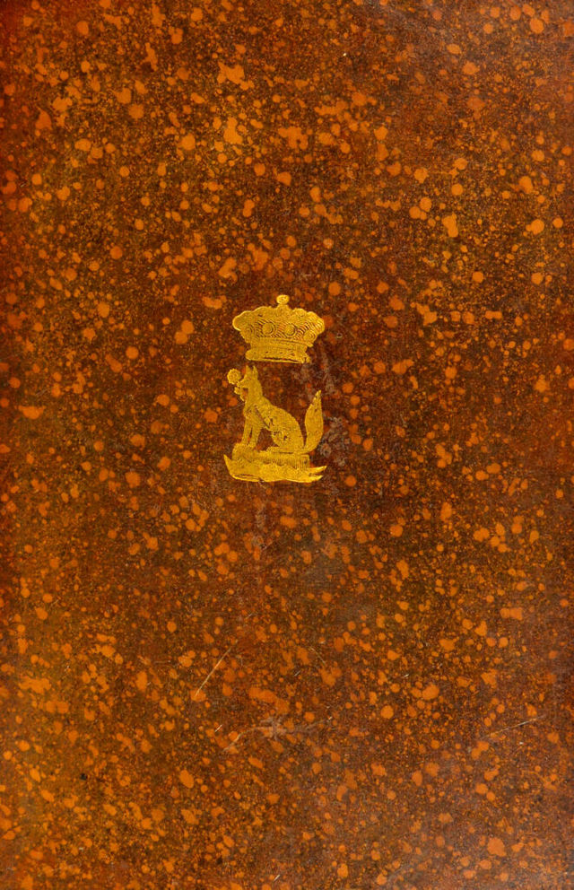 digitised image 1