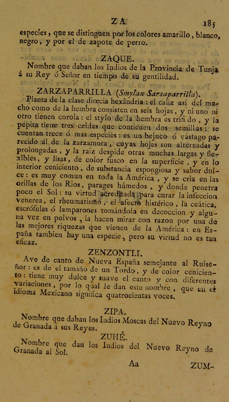 especies, qae se distinguen par los colores amarillo, blanco, negro, y por el de zapote de perro. ZAQUE. , Nombre que daban los Indios de la Provincia de Tunjá a su Rey o Señor en tiempo de su gentilidad. ' ■ - K í ■ . . ZARZAPARRILLA {Sthylax Sarsaparrilla). Planta de la clase dioecia hexándria ; el cáliz así del ma- cho como de la hembra consisten en seis hojas , y ni uno ni otro tienen corola: el stylo de la hembra es trííí do , y la pepita tiene tres celdas que contienen dos semillas ; se cuentan trece ó mas especies: es un bejuco ó vástago pa- recido al de la zarzamora , cuyas hojas son alternadas y ’ y ra‘z despide otras muchas largas y fle- xibles, y lisas, de color fusco en la superficie , y en lo interior ceniciento, de substancia espongiosa y sabor dul- ce: es muy común en toda la América , y se cria en las orillas de los Ríos, parages húmedos , y donde penetra poco el Sol - su virtud acreditad* para curar la infección venerea, el rheumatisifto , el afecto histérico , la ceática, escrotulas o lamparones tomándola en decocción y algu- na vez en polvos , la hacen mirar con razón por una de las mejores riquezas que vienen de la América : en Es- pana también hay una especie y pero su virtud no es tan ZENZONTLI. - Ave “f canto Nueva España semejante al Ruise- ñor : es de el tamaño de un Tordo, y de color cenicien- to: tiene muy dulce y suave el canto y con dlfeíenl anaciones , por lo qual le dan este nomSre , que tu tí orna Mexicano significa quatrocientas voces. XT i Nombre que daban los Indios Moscas del Nuevo Revno de Granada á sus Reyes. ^eyno m l zuiié. Granada'al So!. '°S ^ dd Nuav0 * Aa ZUM-