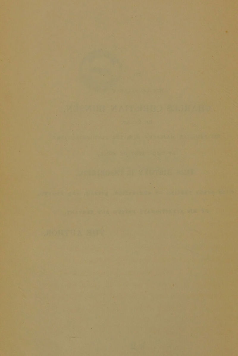.> - ■ *' • ‘ 1 ■• . . V- yi-ivCr:/ -•• -* .-^v . ; ■. e: ■ j. - - '-• 3 fS***. .mm- ‘ a -li L'- a’--v - •- •• •■' -.o^..«%'■•;** V . ■‘ ■- ■'■ ■ ' ■ ' ■ , % *. rV' ' ,r |'~ ‘4'. .v_.;viS<if; Vy- ,;jU.'v .^5JJ ^ V..S ■ . ;■ ' -i’ ' ■ • ■ . Vv^'if #' ■■ j.i  ,'iu: ■>.»»!. ^7isW ; a;'.’V.!-:* ^ • ■ ■ ‘ \  I'' ' z * ^ ‘ • f-,. g.V •