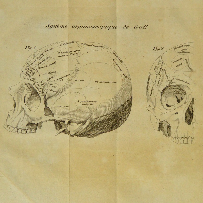 orpanoscopique de O-ctll