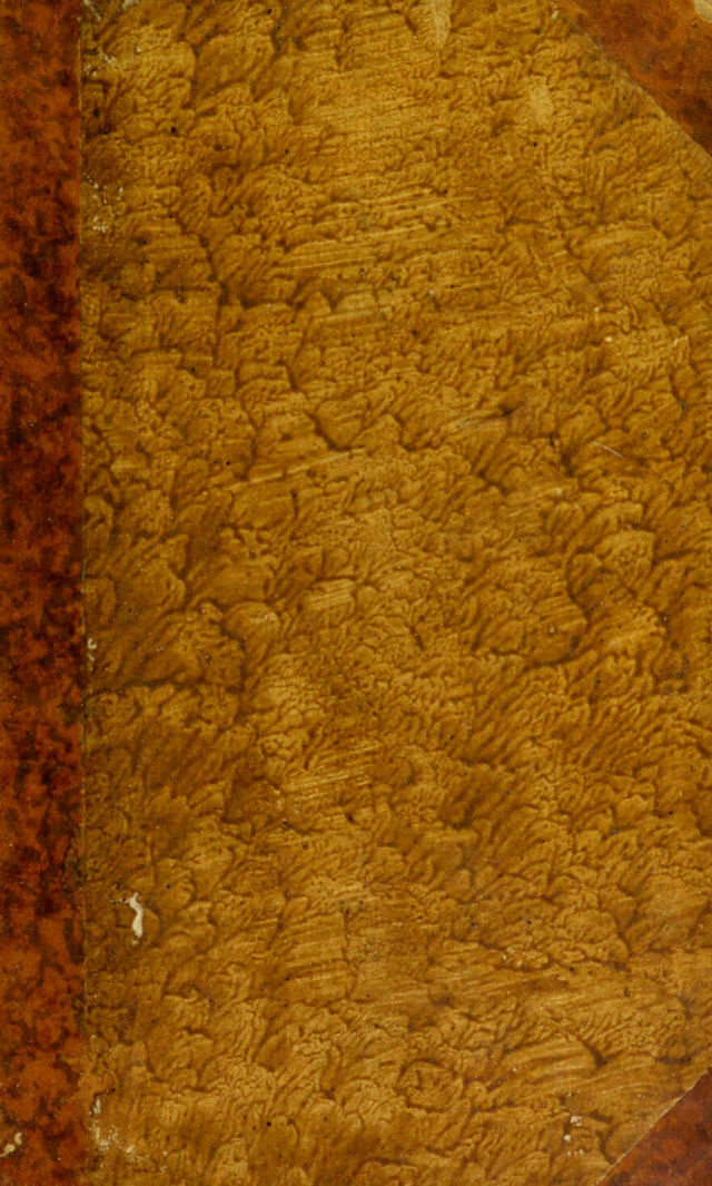 digitised image 1