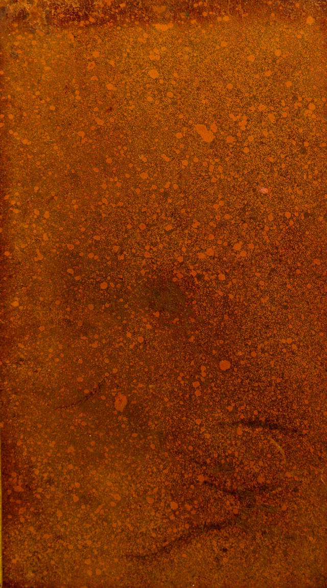digitised image 1