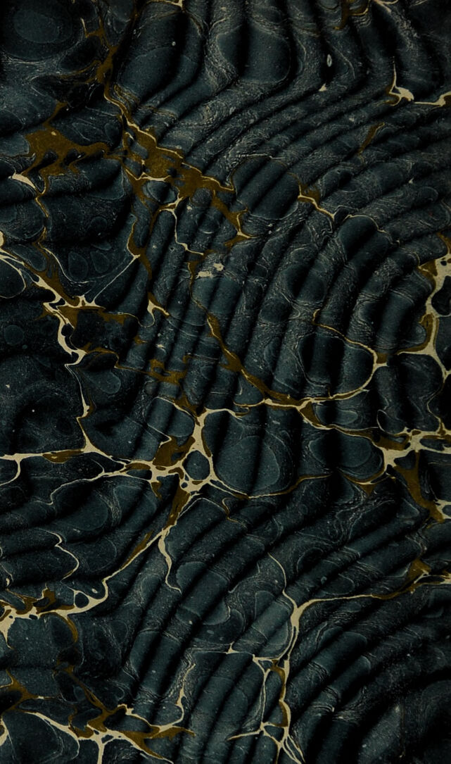 digitised image 2