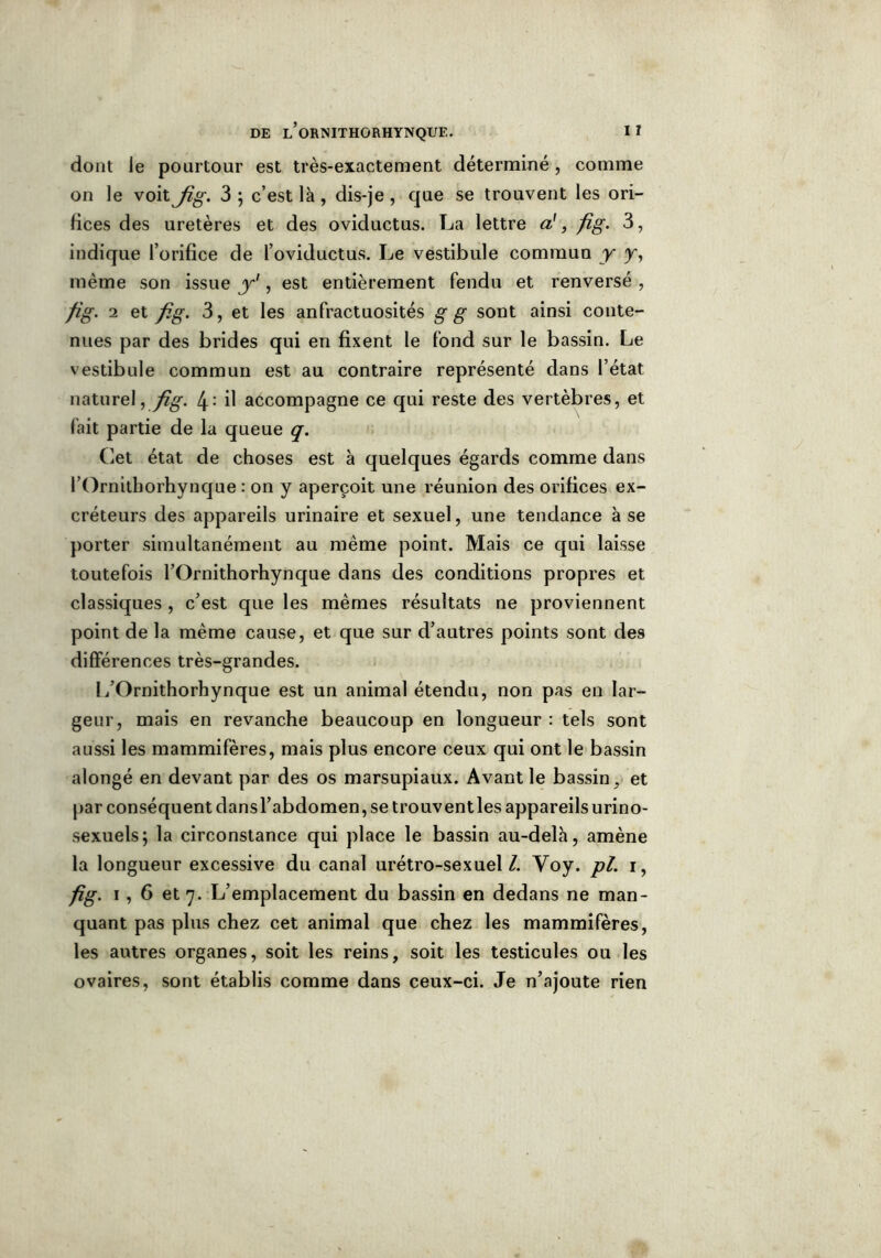 dont le pourtour est très-exactement déterminé , comme on le voit Jîg. 3 ; c’est là , dis-je , que se trouvent les ori- fices des uretères et des oviductus. La lettre a!, fig. 3, indique l’orifice de l’oviductus. Le vestibule commun y y, même son issue y', est entièrement fendu et renversé , fig. 2 et fig. 3, et les anfractuosités g g sont ainsi conte- nues par des brides qui en fixent le fond sur le bassin. Le vestibule commun est au contraire représenté dans l’état naturel, fig. 4.: il accompagne ce qui reste des vertèbres, et fait partie de la queue q. Cet état de choses est à quelques égards comme dans l’Ornithorhynque : on y aperçoit une réunion des orifices ex- créteurs des appareils urinaire et sexuel, une tendance à se porter simultanément au même point. Mais ce qui laisse toutefois l’Ornithorhynque dans des conditions propres et classiques , c’est que les mêmes résultats ne proviennent point de la même cause, et que sur d’autres points sont des différences très-grandes. L’Ornithorhynque est un animal étendu, non pas en lar- geur, mais en revanche beaucoup en longueur : tels sont aussi les mammifères, mais plus encore ceux qui ont le bassin alongé en devant par des os marsupiaux. Avant le bassin , et par conséquent dansl’abdomen, se trouvent les appareils urino- sexuels; la circonstance qui place le bassin au-delà, amène la longueur excessive du canal urétro-sexuel l. Yoy. pl. i, fig. i, 6 et ’]. L’emplacement du bassin en dedans ne man- quant pas plus chez cet animal que chez les mammifères, les autres organes, soit les reins, soit les testicules ou les ovaires, sont établis comme dans ceux-ci. Je n’ajoute rien