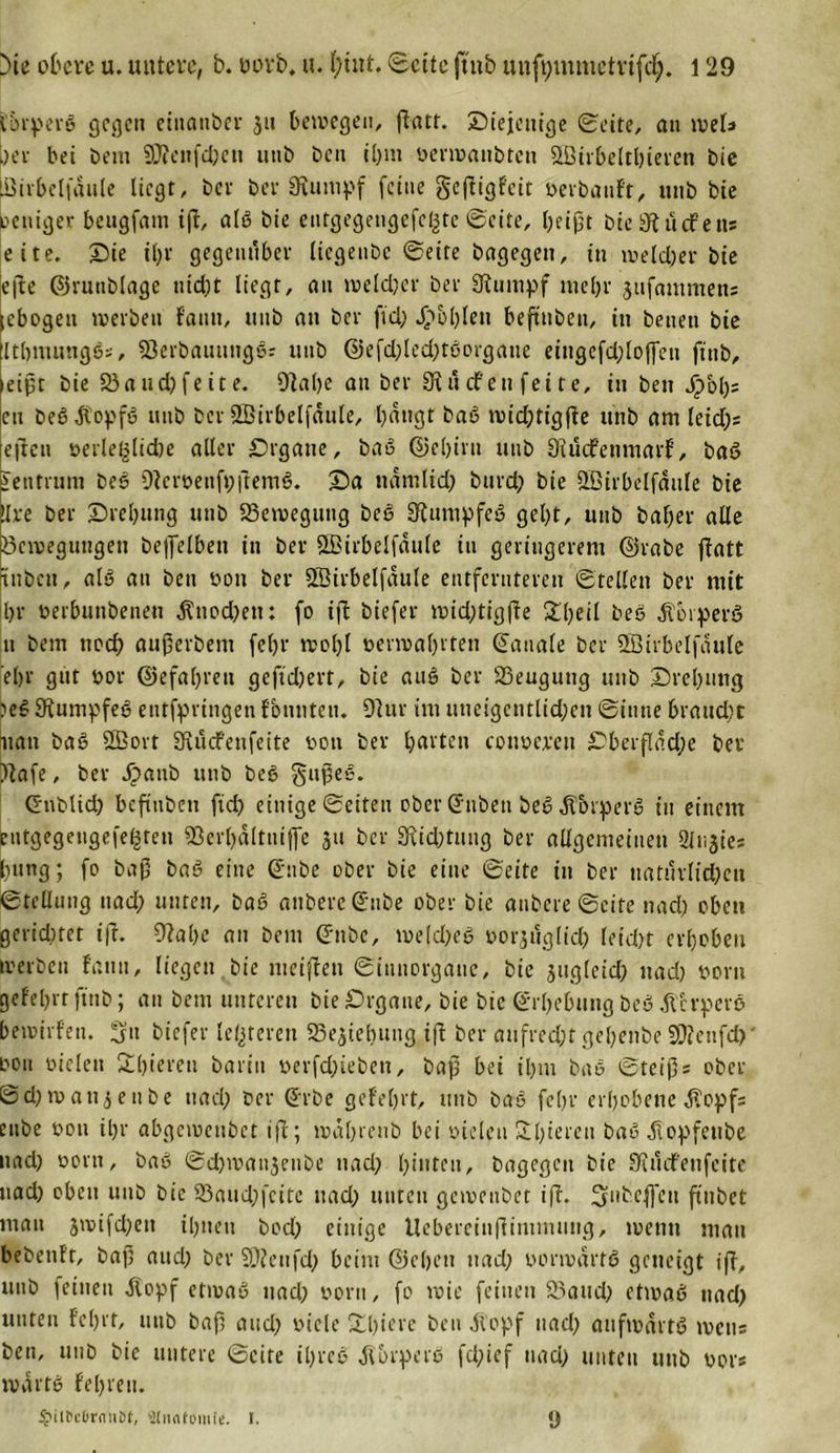 ibrpevö gegen cinaiibcr 31t bewegen, ftatt. ^Diejenige Seite, an weh ;er bet bent 9??enfd)en uttb beit ihm üermaubten 2Birbelthierctt bie ßirbelfdule liegt, bet ber Stumpf feine geftigleit oerbault, tttib bie weniger beugfam ift, alß bie entgegengefeßte Seite, heißt bie 9tucFen* eite, Sie il)t gegenüber licgenbc Seite bagegen, in welcher bie efte ©rutiblage titd)t liegt, an welcher ber Stumpf niebr jufammens lebogeu werben Faun, tmb an ber fiel; Jpbbleu beftttben, in betten bie iltbmungßs, Sßerbauungßs mib @efd)led)tßorgaue eingefd;loffen ftnb, leipt bie 23 a ud) feite. 9tal)e an ber Sin eben fei te, in ben Jg&gt;bl;= en beßÄopfß unb ber SBirbelfäule, hangt baß wid;tigfte unb am leid): eften »erle^lidbe alter Srgatte, baß ©chirtt mib StucFenmarl, baß Zentrum beß Dtereenfpftemß. Sa namlid) bnrd; bie 2ßirbelfdule bie ►Ire ber Srebung unb Bewegung beß Sftumpfeß gebt, unb baber alle Bewegungen beffelben in ber SBirbelfdule tu geringerem ©rabe flatt rtnbcu, alß an ben bou ber Sßirbelfdule entfernteren Stellen ber mit br berbutibenen $nod)en: fo ift biefer wid)tigffe £l)eil beß Äoiperß 11 bem noch außerbem febr wobt berwahrten ©anale ber SBirbelfduIe ebr gut bor ©efabren geftdjert, bie auß ber 23eugung unb Srebung ?eß Stumpfeß entfpringen Fbunteti. 9tur im utieigentlid;en Sinne 6raud)t iiatt baß 2Bort Stücfenfeite boti ber t;avten cottbcreit £&gt;berftdd;e ber )tafe, ber dbattb unb beß §ußeß. Gtiblid) befittben fid) einige Seiten ober @iibeu beßdtorperß in einem eutgegengefe^teu SSerbdltnijfe 311 ber Stiftung ber allgemeinen 2lii3ies bang; fo baß baß eine ©nbe ober bie eine Seite itt ber natürlichen Stellung tiad; unten, baß attbere ©nbe ober bie anbere Seite 11 acl) oben gerichtet ift. ütahe an bem ©nbe, weld;eß borjuglicl) leid)t erbeben werben Faun, liegen bie meiften Situtorgane, bie 3ugleid) nad; borit gelehrt ftnb; an bem unteren bie Srgane, bie bie Erhebung beß dt'crperß bewirfen. 3» biefer lederen 23e3tel)iuig ift ber aufrecht gehenbe SDtenfd)' 0011 bielen 2l)ieren bariit berfd)tebeu, baß bei il;m baß Steiß: ober Sd)wati3enbe tiad; ber (Erbe gelehrt, unb baß feljr erhobene 3?opf: enbe bou ihr abgeweubet ift; währenb bei bielen Shiereu baß .ftopfettbe nad) bortt, baß Sd)wan3eube uad) hinten, bagegett bie 9t tiefen feite nad) oben unb bie 23aud;fcitc uad; unten gewenbet ift. ^nbeffeti ßnbet man 3wifd)en ihnen bod) einige ttebercinftimmung, wenn man bebeuft, bai) and) ber SDteufd) beim ©eben uad) bortvdrfß geneigt ift, unb feinen flopf etwaß uad) bortt, fo wie feinen 23aud) etwaß nad) unten lehrt, uttb baß and) viele £l)iere beu dl’opf uad) aitfwdrtß wen* ben, unb bie untere Seite il)reß ftorperß fd)ief nad) unten unb bor: wdrtß lehren. Spiit&gt;cOrauöt, atnntomic. i. ü